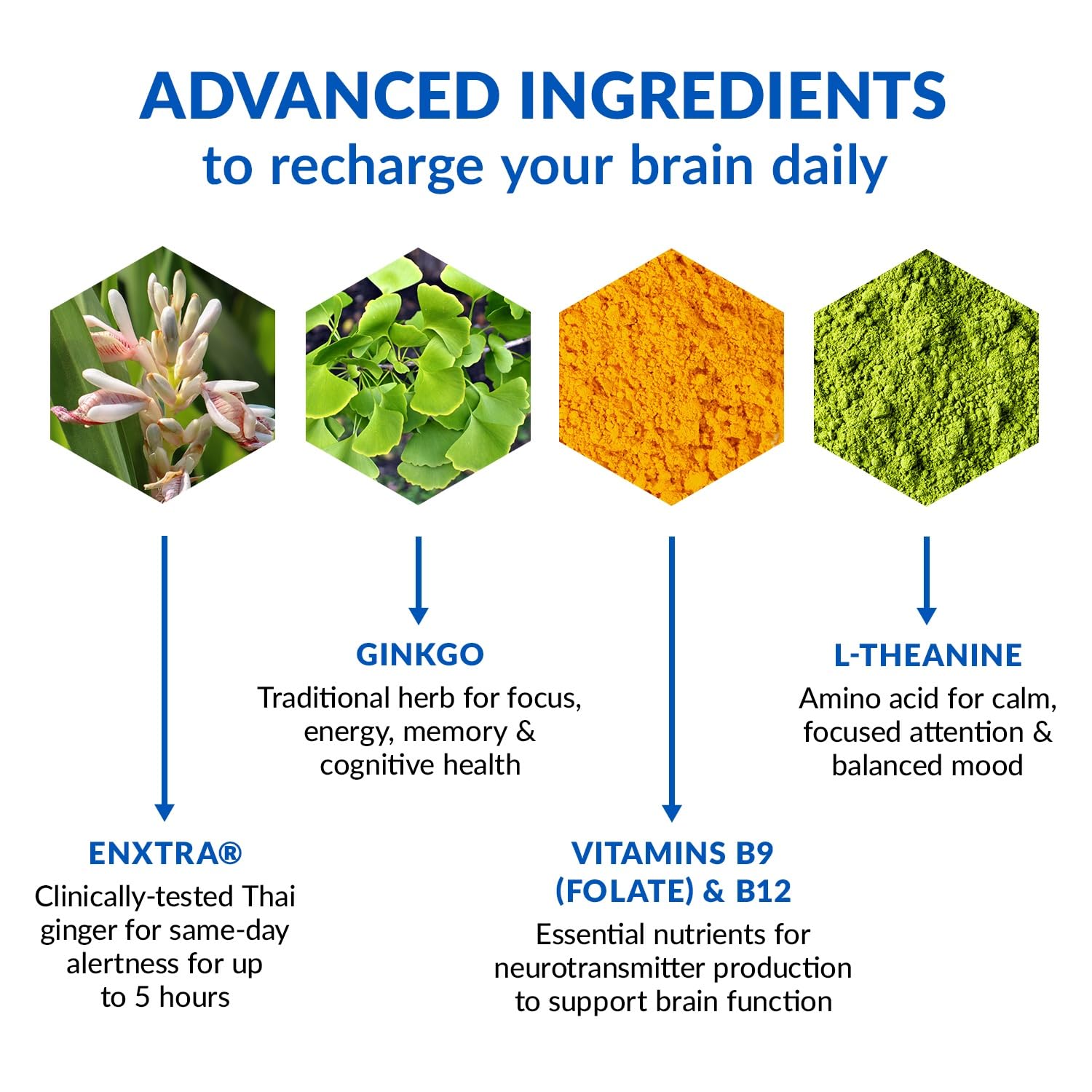 BioTrust Brain Bright – Daily Nootropic Boost for Focus, Concentration, Mental Clarity – Caffeine Free Nootropics Brain Support Supplement – Thai Ginger, Ginkgo, Folate, L-Theanine – 30 Servings BioTrust buy supplements canada