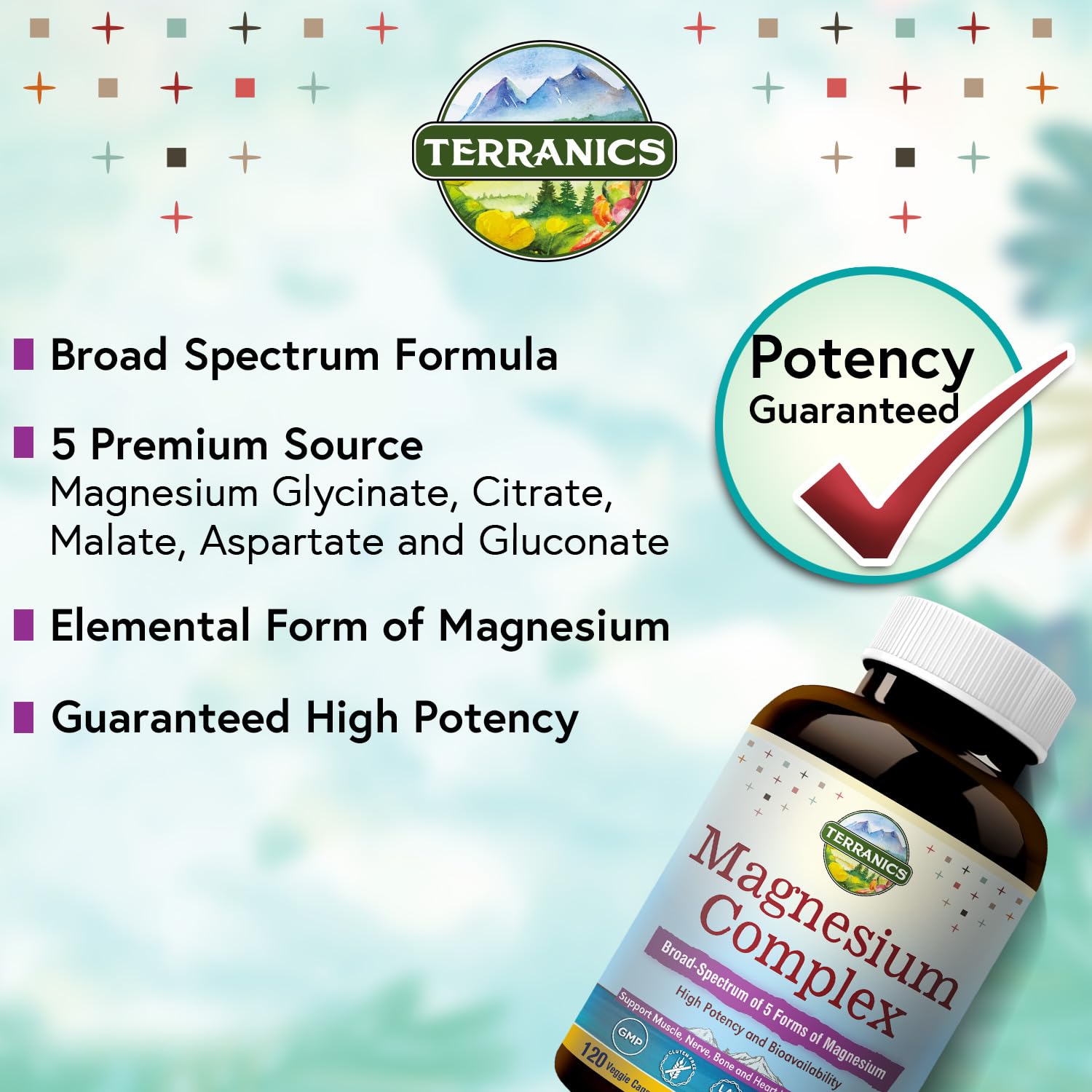 Terranics Magnesium Complex, Total 240 Capsules, Max Absorption, Glycinate, Citrate Terranics buy supplements canada