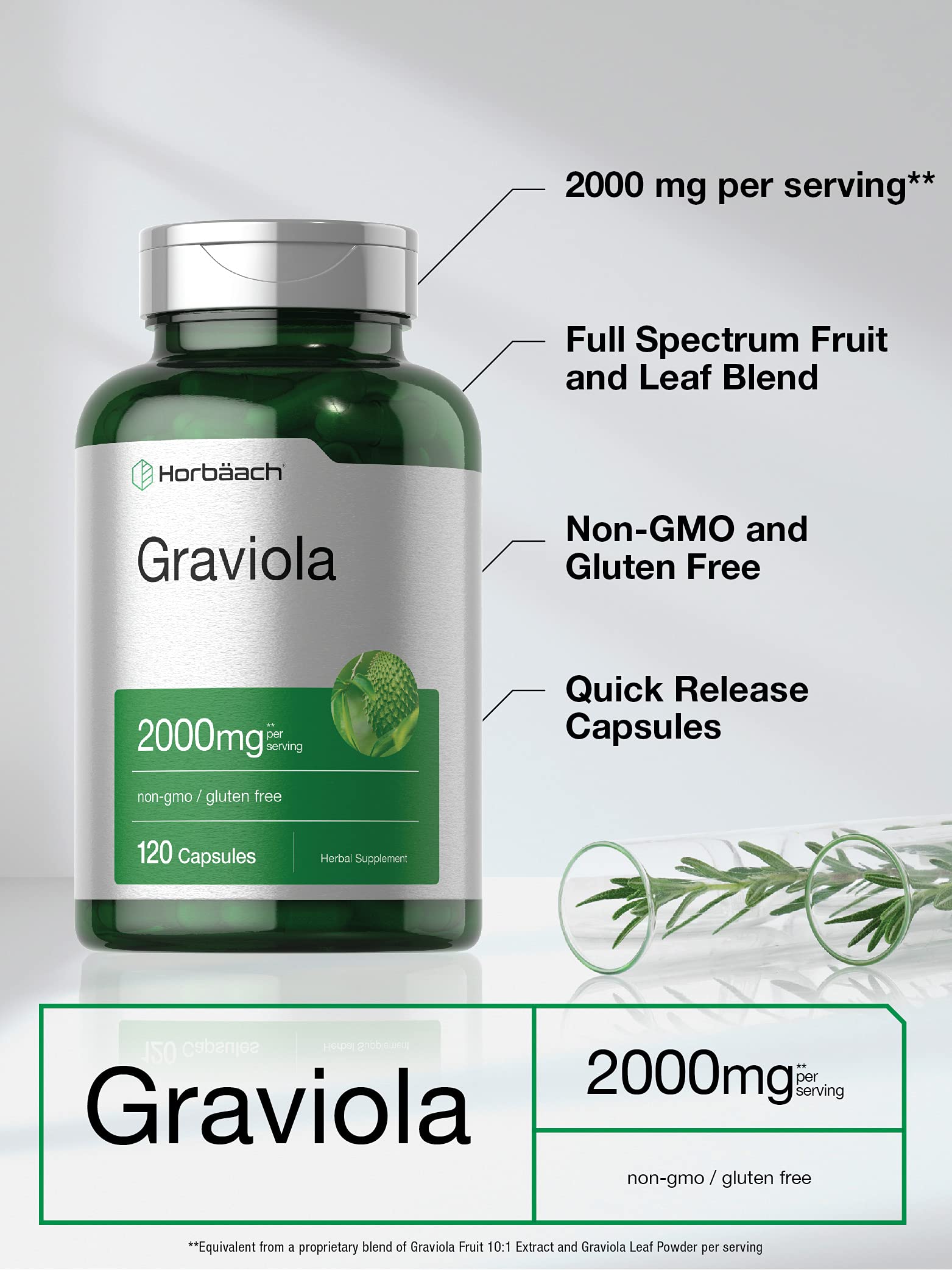Graviola Extract 2000 mg 120 Capsules With Graviola Proprietary Blend Ingredient Horbäach buy supplements canada