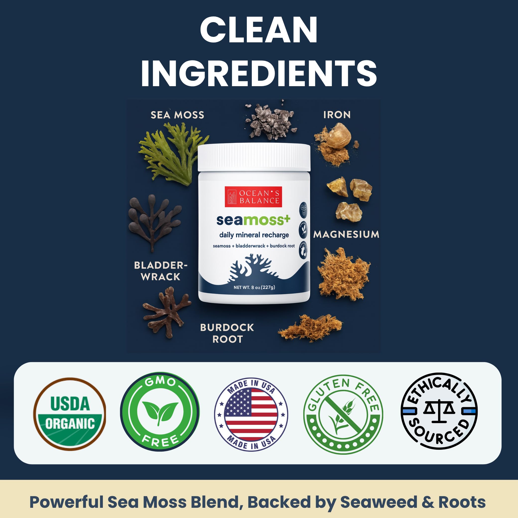 Ocean's Balance Seacleanse+ Daily Detox Cleanse Powder | Gut Health & Immune Support | Supports Gentle Cleanse & Vitality | 8oz Ocean's Balance Clean Taste of Maine buy supplements canada