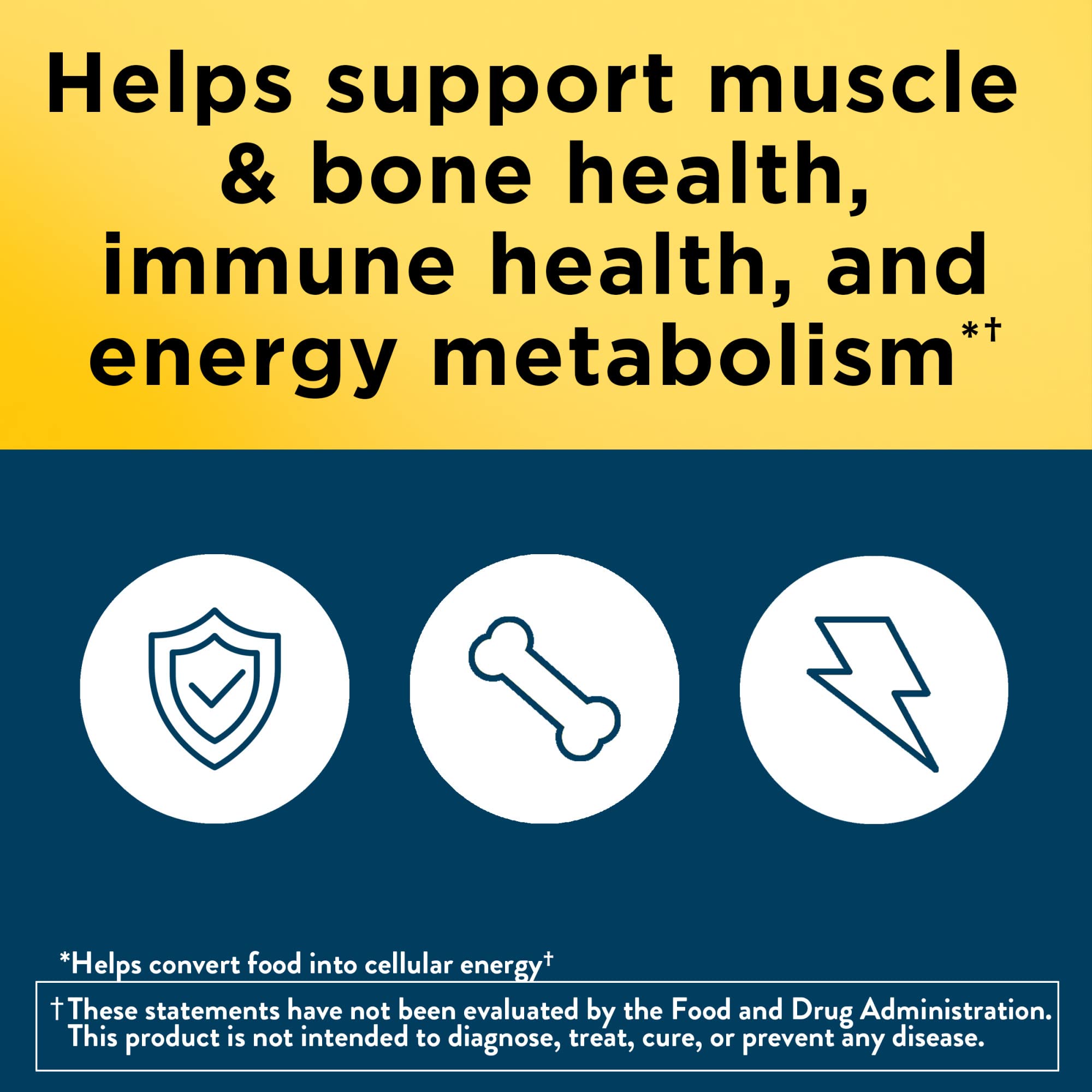 Nature Made Multivitamin for Men Over 50, Mens Multivitamins 50 Plus, Daily Nutritional Support, Nature Made Multi Vitamins Nature Made buy supplements canada