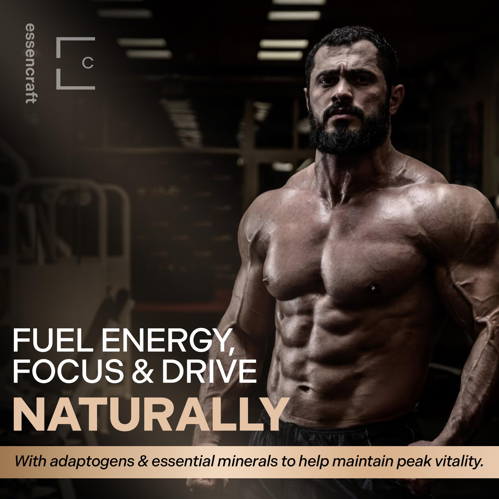 Essencraft Atlas X Testosterone Supplement for Men – 10-in-1 Natural Testosterone Booster & Muscle Booster w/Shilajit, Zinc, Tongkat Ali, & More (120 Capsules) Essencraft buy supplements canada