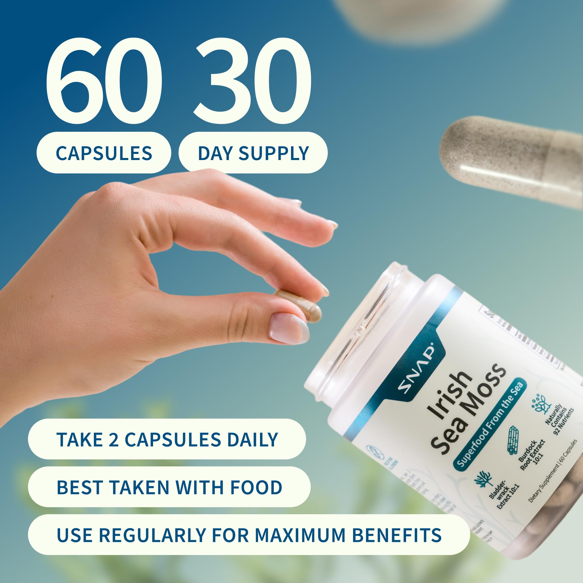 Snap Supplements Irish Sea Moss with Bladderwrack, Burdock Root & Iodine – Natural Sea Moss Supplement to Support Gut Health, Energy & Healthy-Looking Skin, 60 Vegan Capsules (1 Month Supply) Snap Supplements buy supplements canada