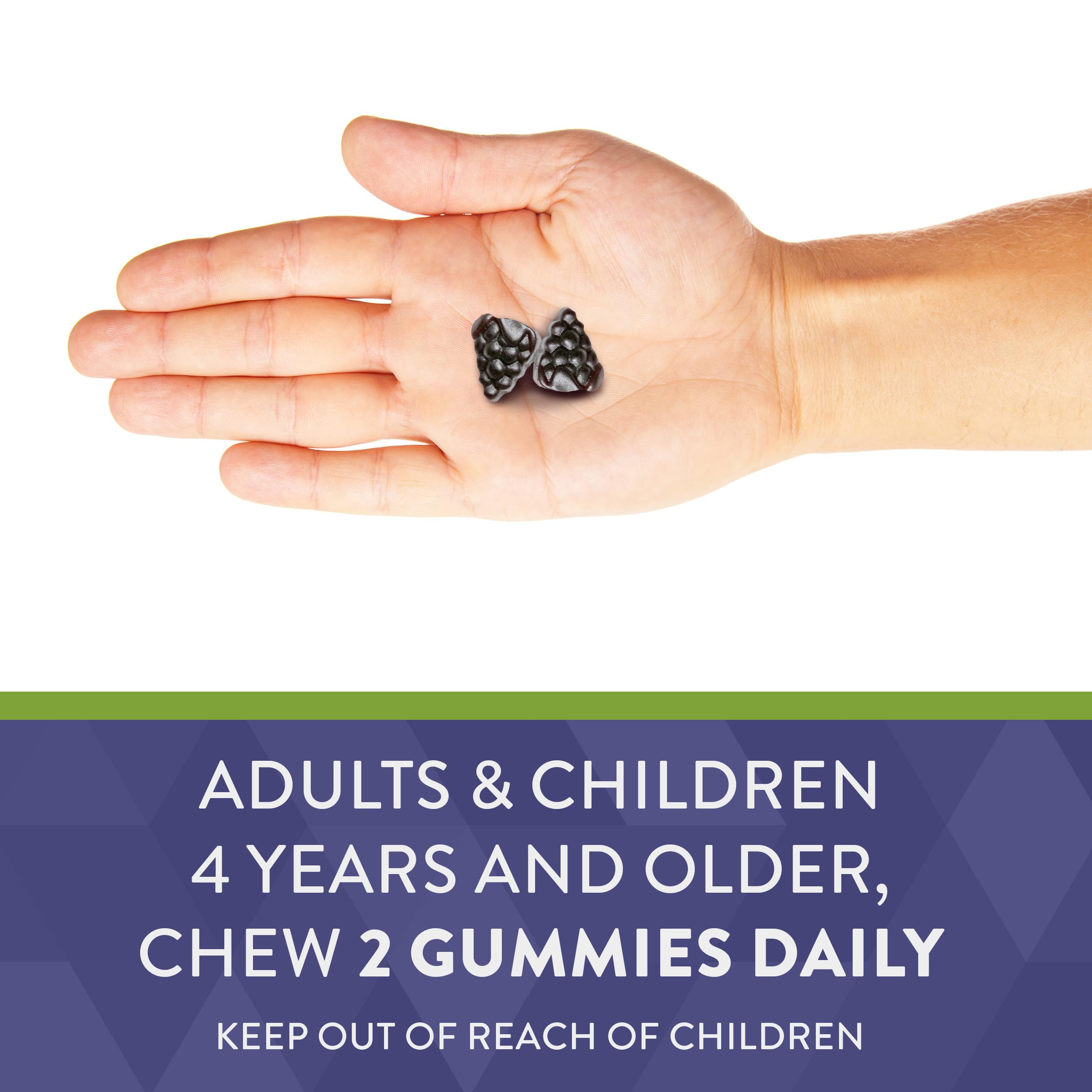 Nature's Way Sambucus Elderberry Gummies - Immune Support Supplement for Kids Nature's Way buy supplements canada