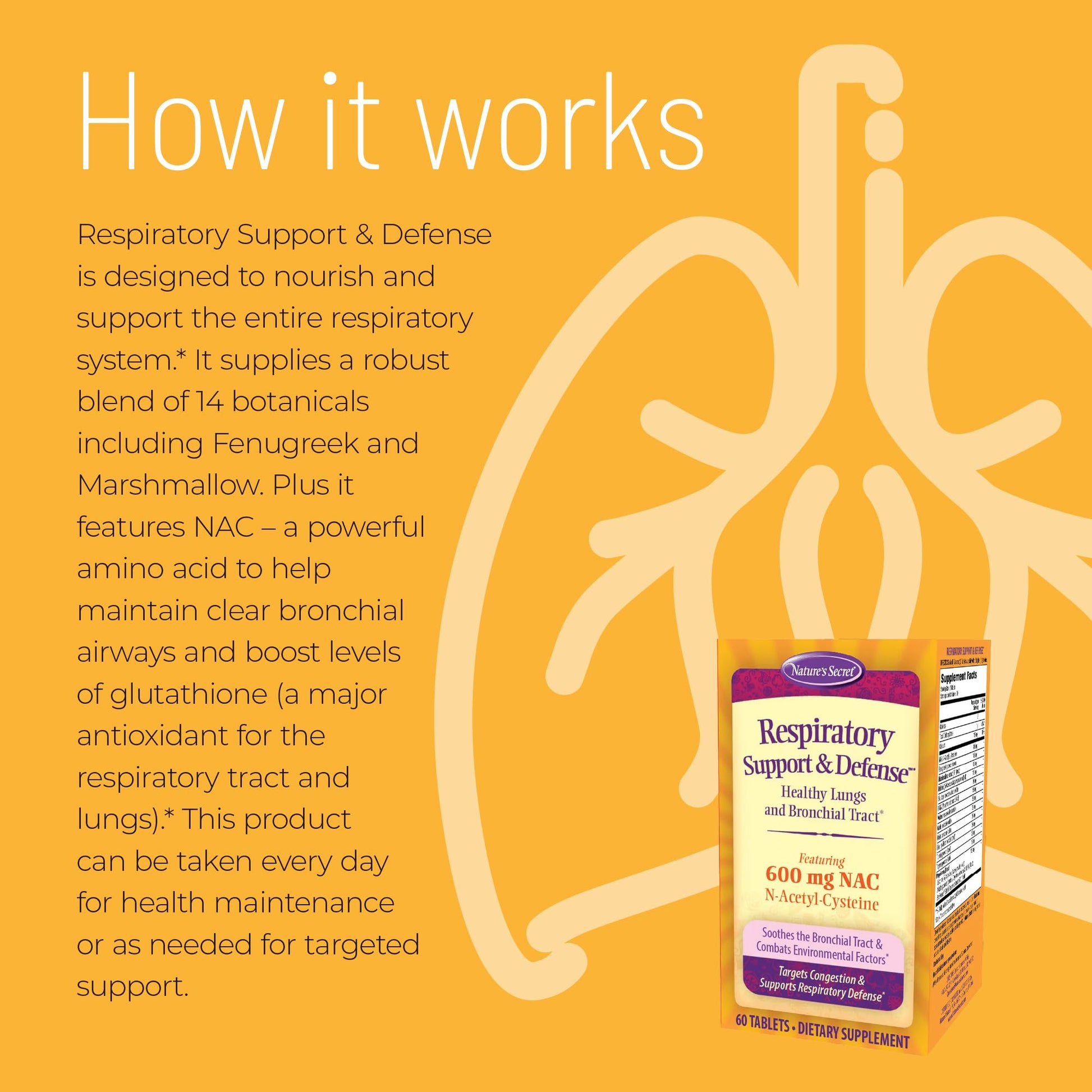 Nature's Secret Respiratory Support & Defense - 60 Tablets - Promotes Healthy Lungs & Bronchial Tract - With NAC, Fenugreek & Marshmallow - 30 Total Servings Nature's Secret buy supplements canada