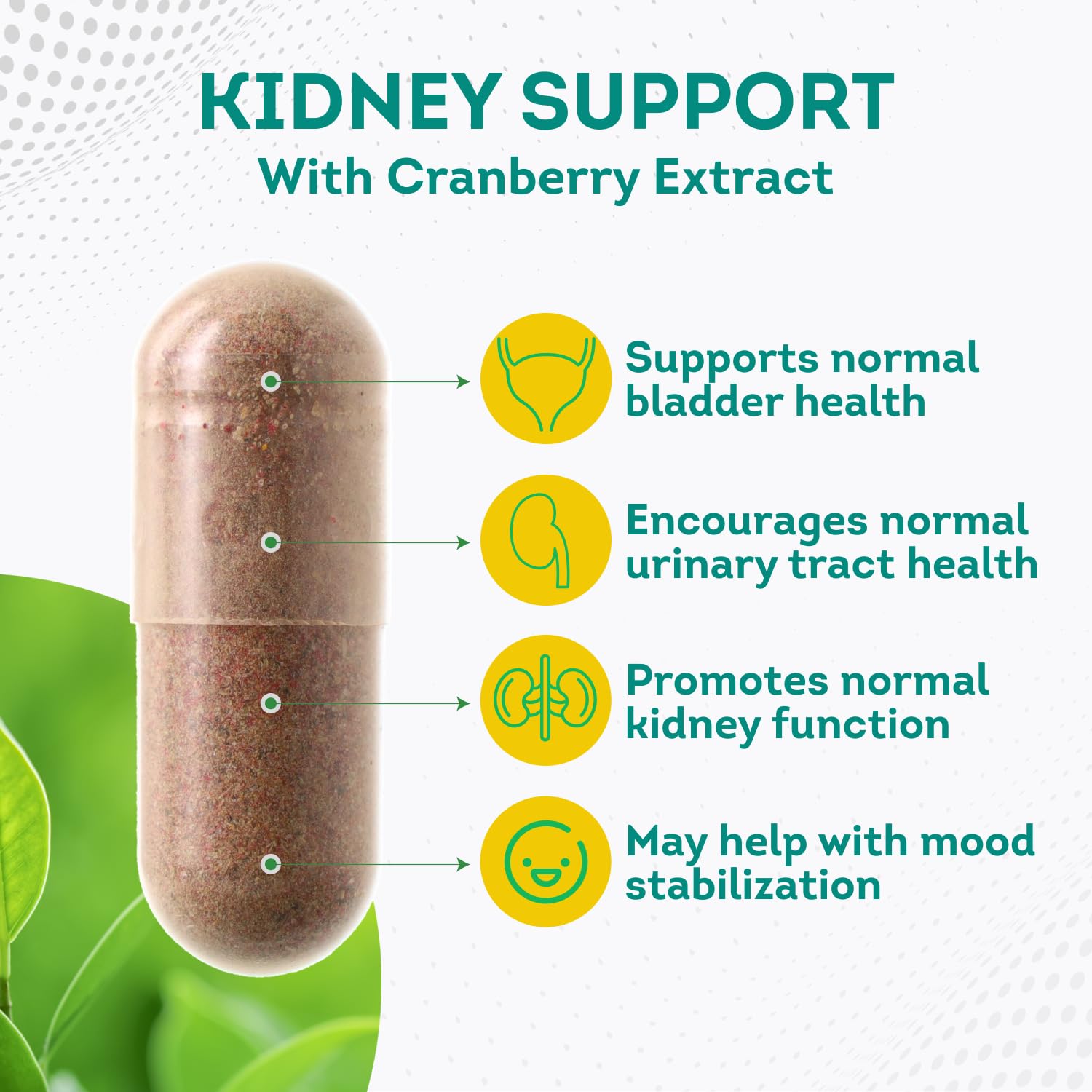 PurePremium Kidney Support Supplement with Cranberry Extract - Kidney Cleanse, Detox PurePremium Supplements buy supplements canada
