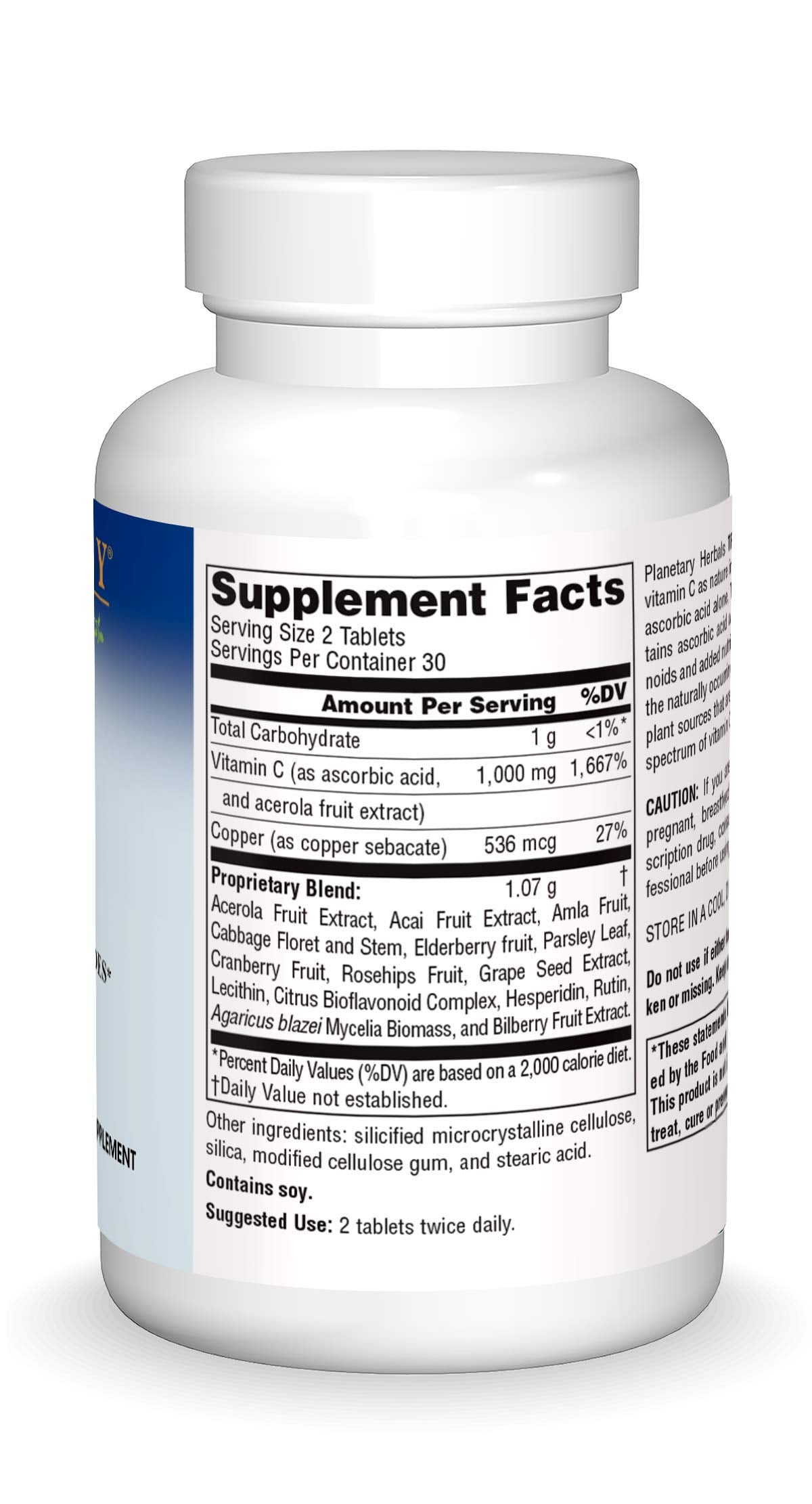 Planetary Herbals Positive Teens & Kids 435mg, Supports Emotional Well-Being,120 Tablets Planetary Herbals buy supplements canada