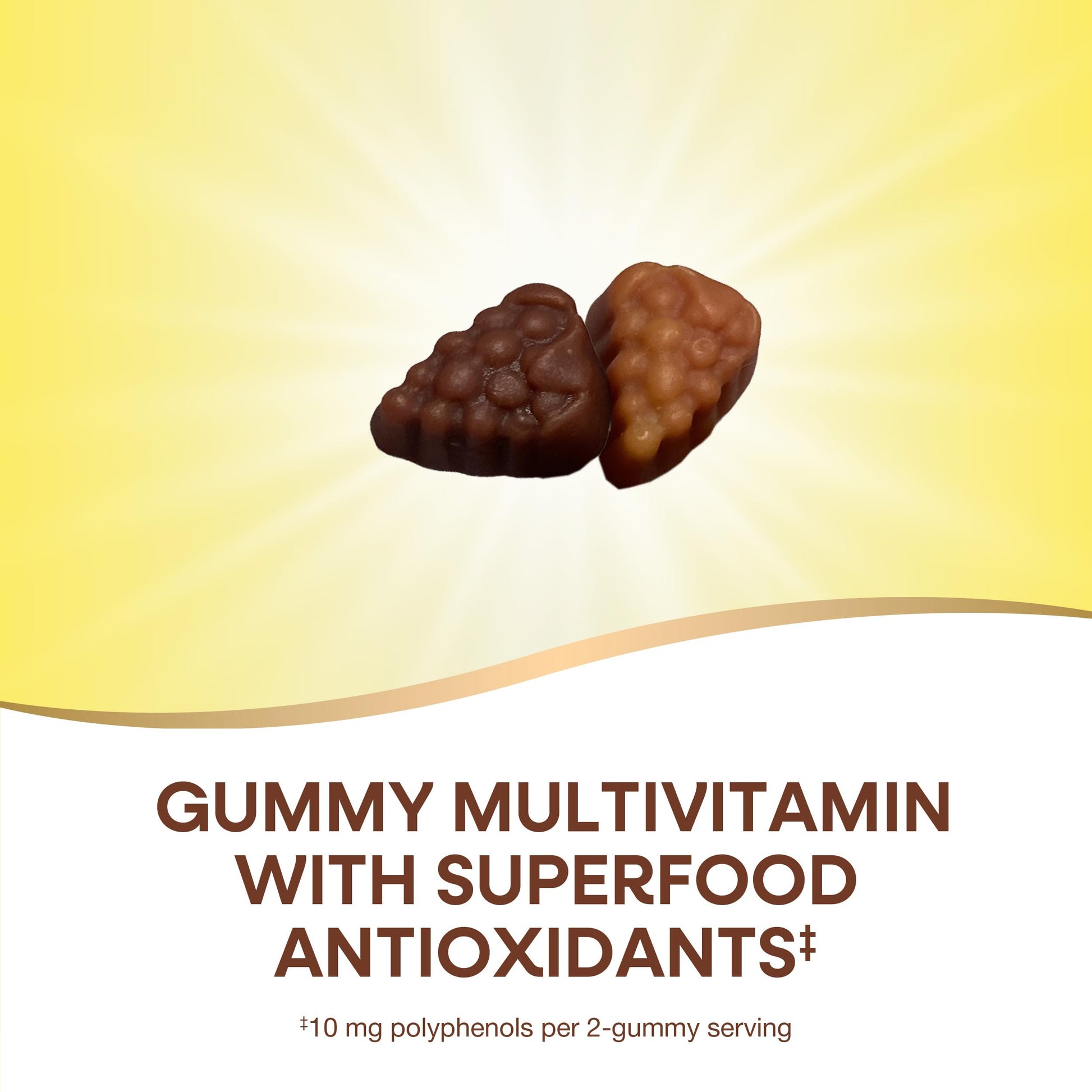 Nature's Way Alive! Women's 50+ Daily Gummy Multivitamins, Women's Supplements, Supports Healthy Heart, Brain & Bones Nature's Way buy supplements canada