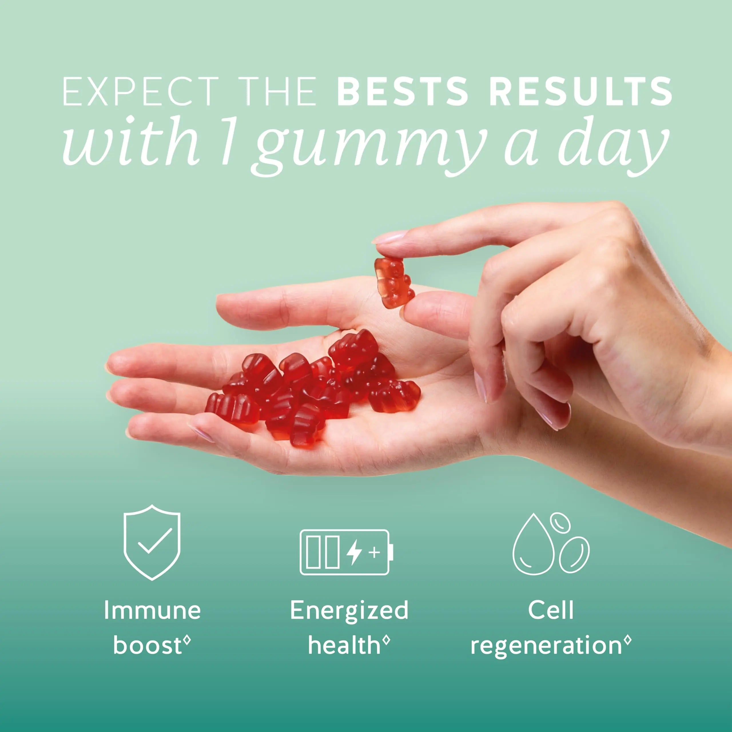 Bears with Benefits Immune Support Gummies – Vitamin C, D, B6 & B12 – Daily Immune Boost – Vegan, Naturally Flavored (30 Gummies) Bears with Benefits buy supplements canada