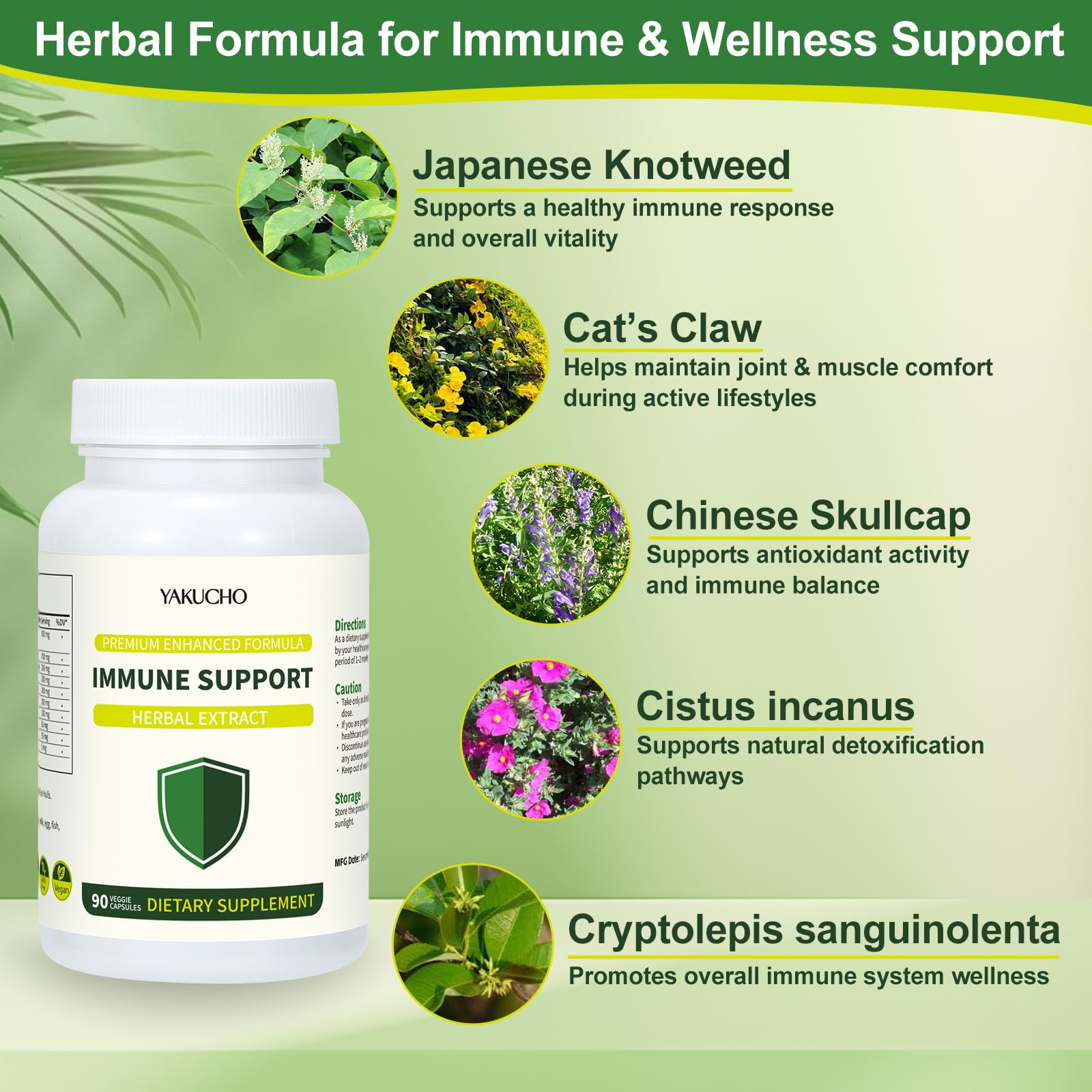 Herbal Immune Support Supplement, Vegan Capsules with Japanese Knotweed, Cat’s Claw, Skullcap & Sanguinolenta, Supports Immune Health & Overall Wellness, Gluten-Free Yakucho buy supplements canada