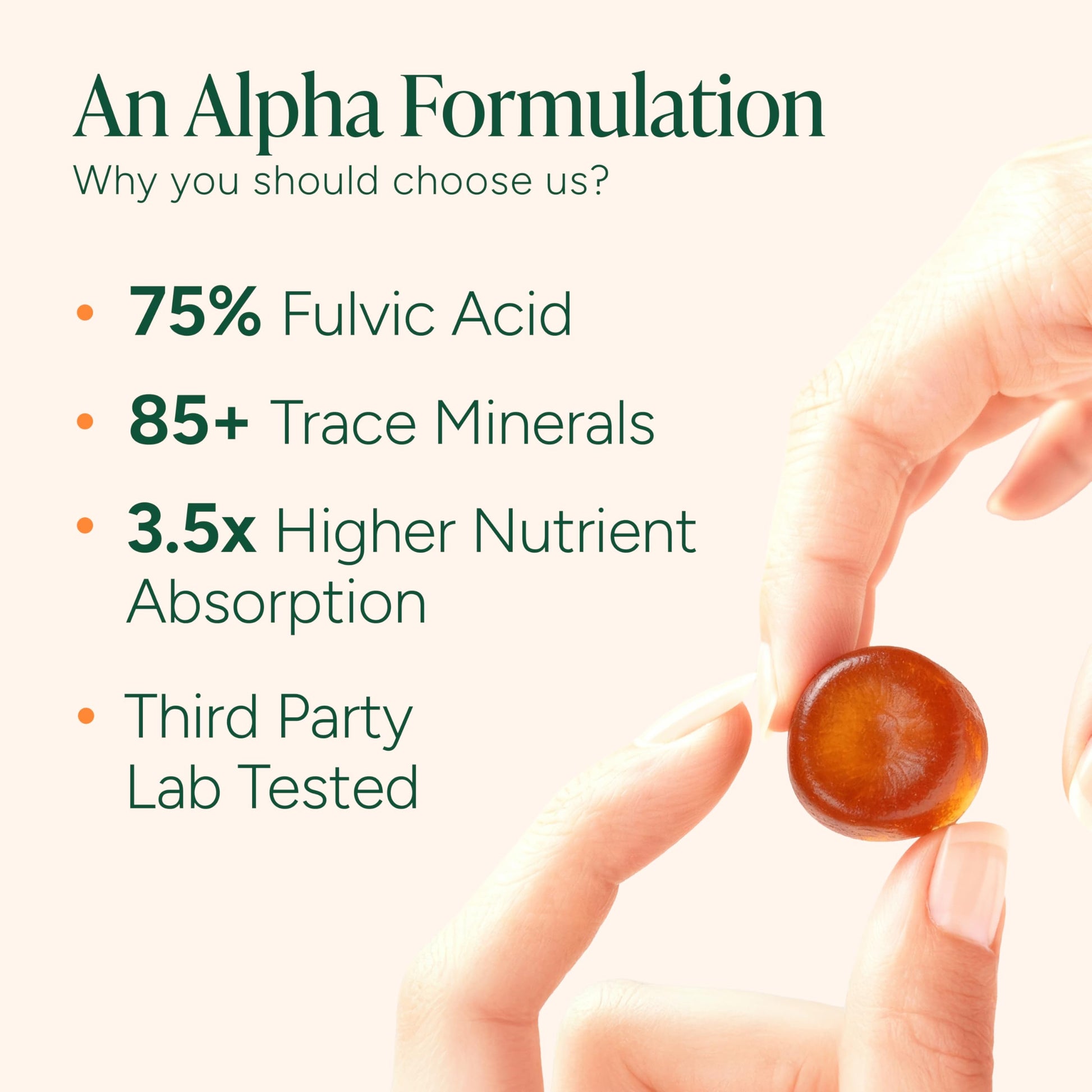 ROOT LABS 10-in-1 Alpha Shilajit Gummies | 4000 mg Pure Himalayan Shilajit with Tongkat Ali & Maca Root | Shilajit for Men & Women | ShilAbsorb Bioavailability Tech ROOT LABS buy supplements canada