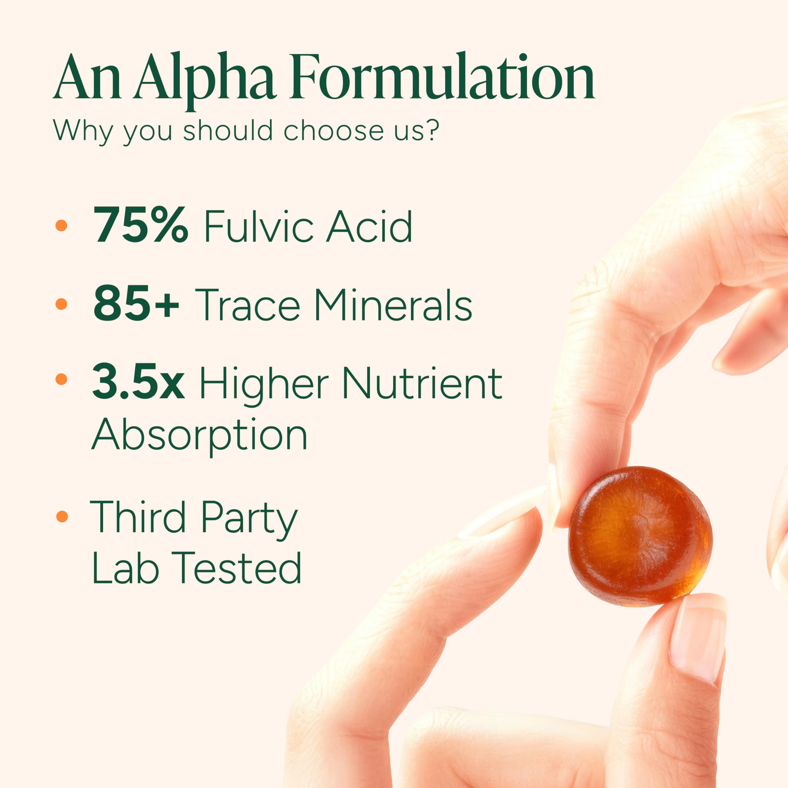 ROOT LABS 10-in-1 Alpha Shilajit Gummies | 4000 mg Pure Himalayan Shilajit with Tongkat Ali & Maca Root | Shilajit for Men & Women | ShilAbsorb Bioavailability Tech ROOT LABS buy supplements canada