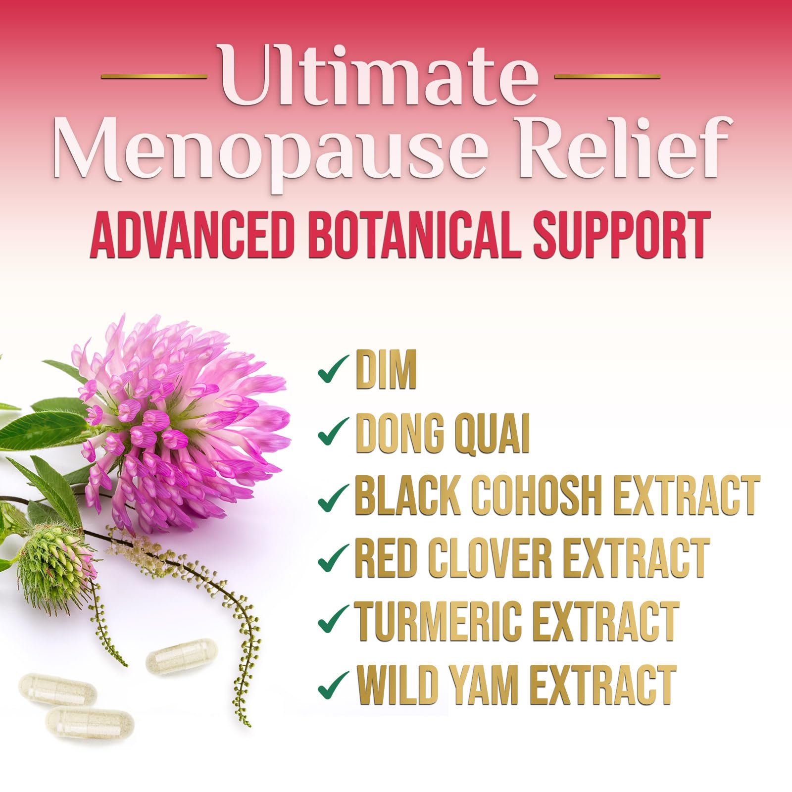 Menopause Supplement for Women - Natural Menopause Relief Support for Mild Hot Flashes & Night Sweats - Best Probiotics for Women, Dong Quai, Black Cohosh, Ashwagandha - Bottled in USA - 60 Capsules Nature's Nutrition buy supplements canada