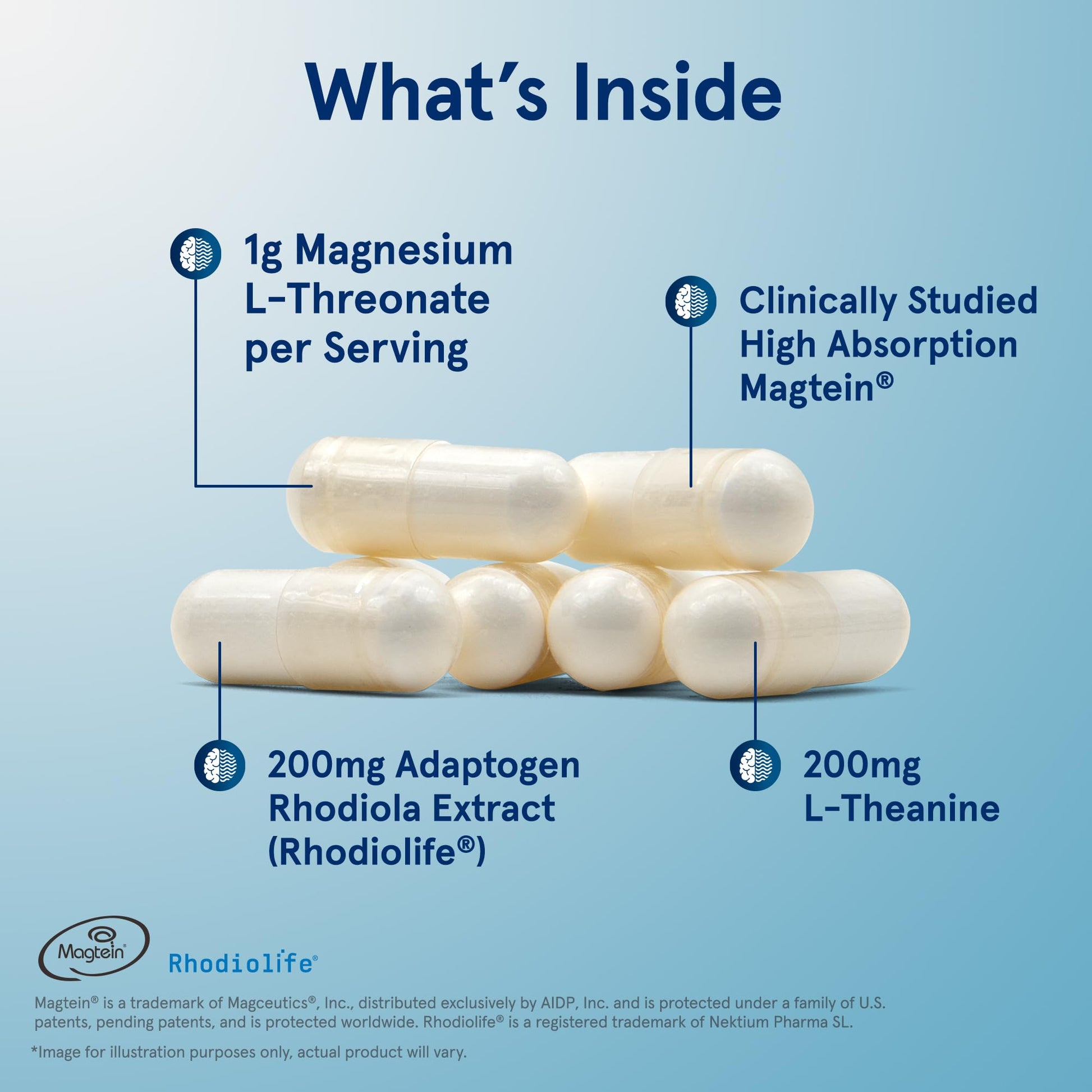 Jarrow Formulas Magnesium L-Threonate, MagMind Stress Resistance with L-Theanine and Rhodiolife, High Absorption Magnesium, Stress Relief and Mood Support, 60 Veggie Capsules, Up to a 30 Day Supply Jarrow Formulas buy supplements canada