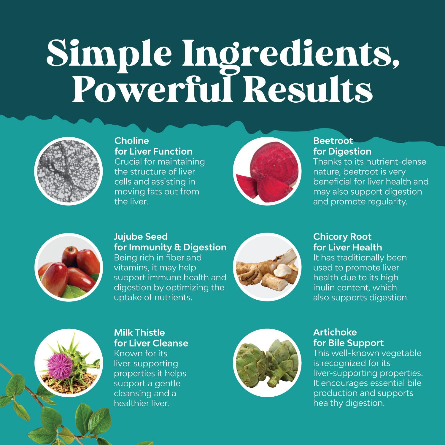Liver Cleanse Detox & Repair Formula - Herbal Liver Support Supplement Natures Craft buy supplements canada