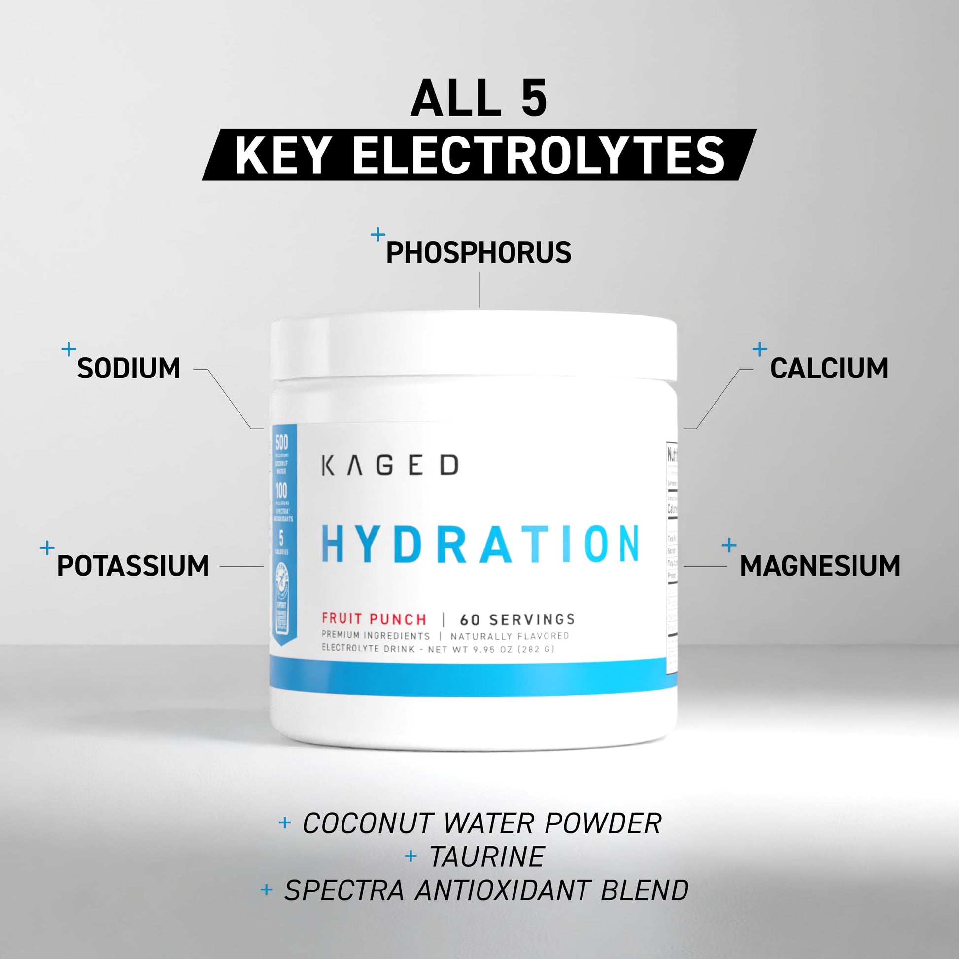Kaged Electrolyte Hydration Powder Hydracharge Apple Limeade Sports Drink for Men and Women Pre, Post, Intra Workout Supplement 60 Servings Kaged buy supplements canada