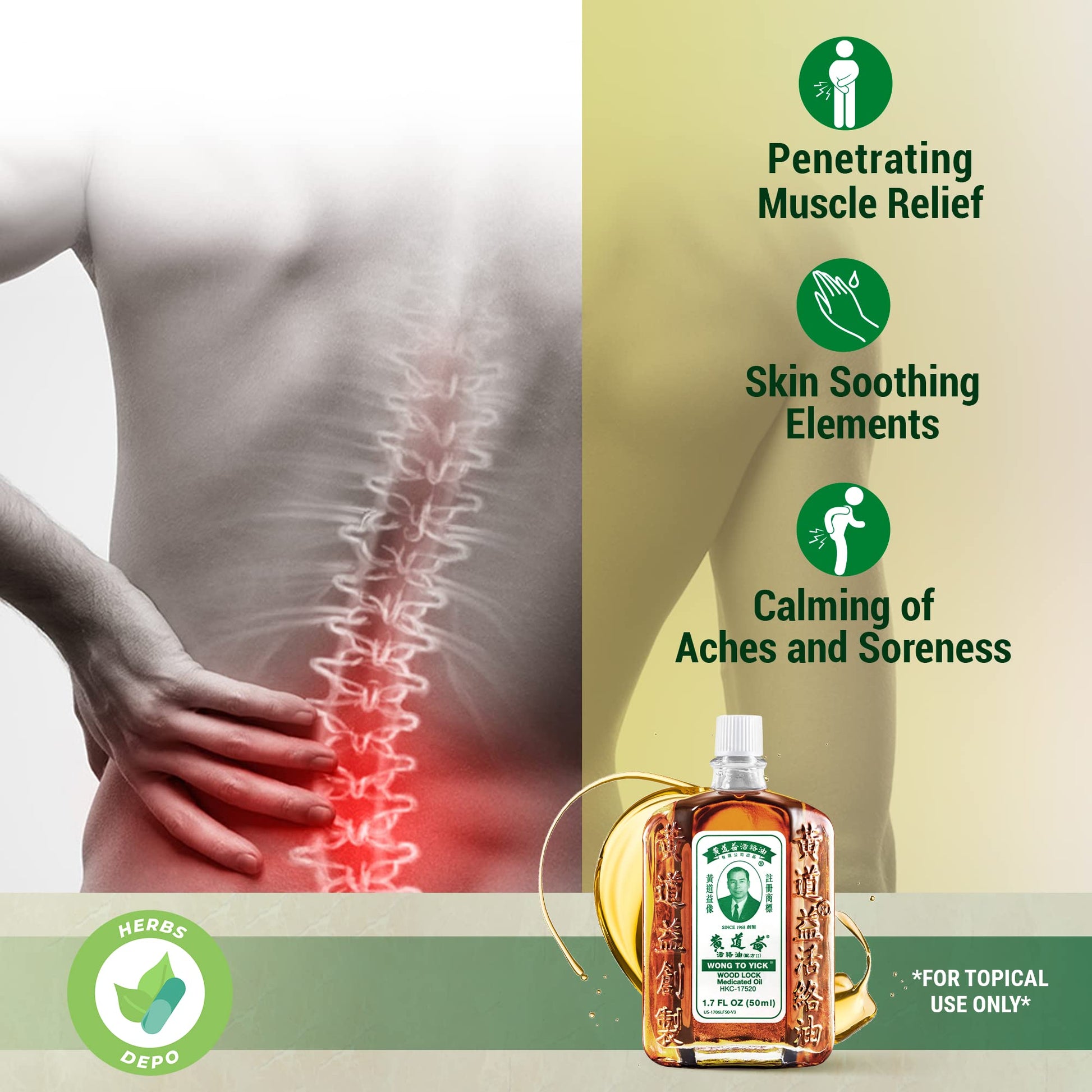 12 Pack of Wong to Yick - Wood Lock Medicated Oil - Herbal Pain Relief for Muscular Aches, Sprains, Shoulder and Back Pain - for Sports Recovery, Soreness - 1.7 Fl Oz - 50 ML - 100% Authentic HerbsDepo buy supplements canada