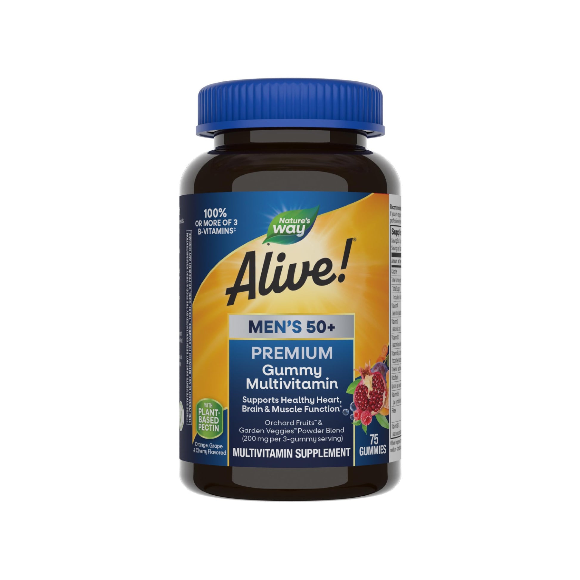 Nature’s Way Alive! Men’s 50+ Premium Gummy Multivitamin, Supports Healthy Heart, Brain & Muscle Function Nature's Way buy supplements canada