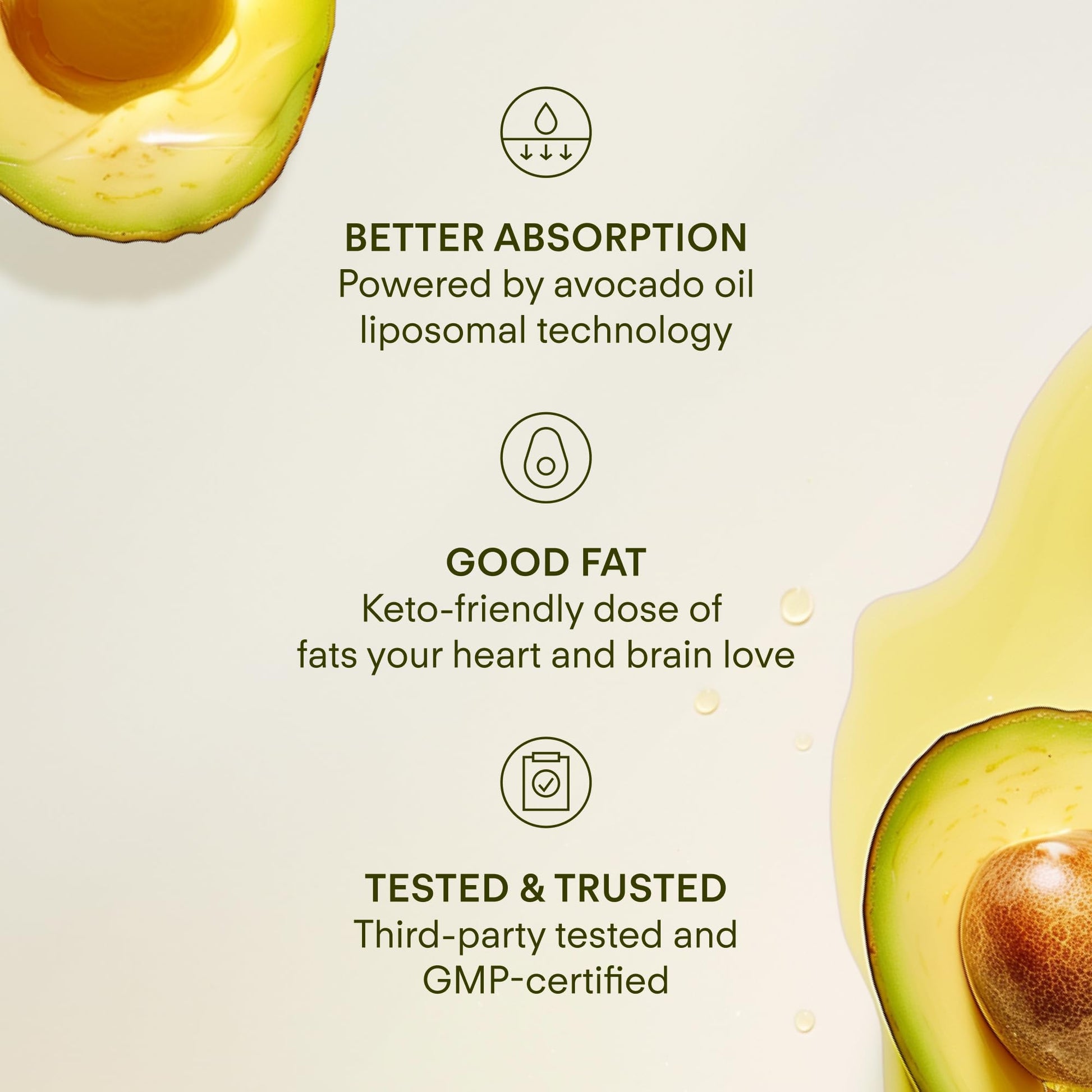 Sunny Within - Brain Health Supplement - Magnesium L-Threonate from Magtein®, Lion’s Mane, Alpha GPC, L-Theanine, ALA & Avocado Oil - Focus, Mood & Memory Support* - 30 Daily Vegan Pouches Sunny Within buy supplements canada