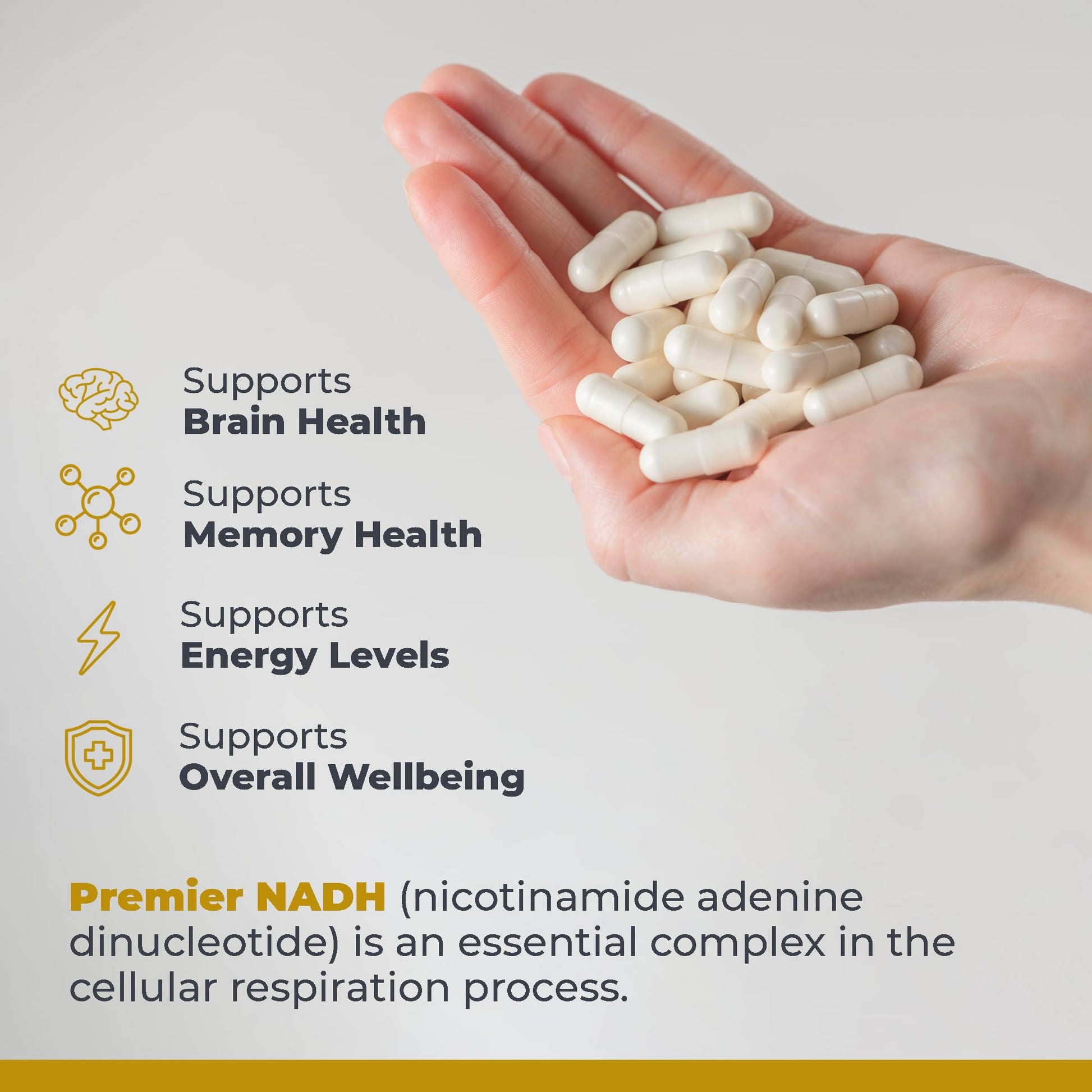 Premier Research Labs NADH - NADH Supplement, NAD Supplement for Men & Women, Nicotinamide Adenine Dinucleotide, Cell Regenerator, Respiratory Support - 30 Vegetarian Capsules Premier Research Labs buy supplements canada