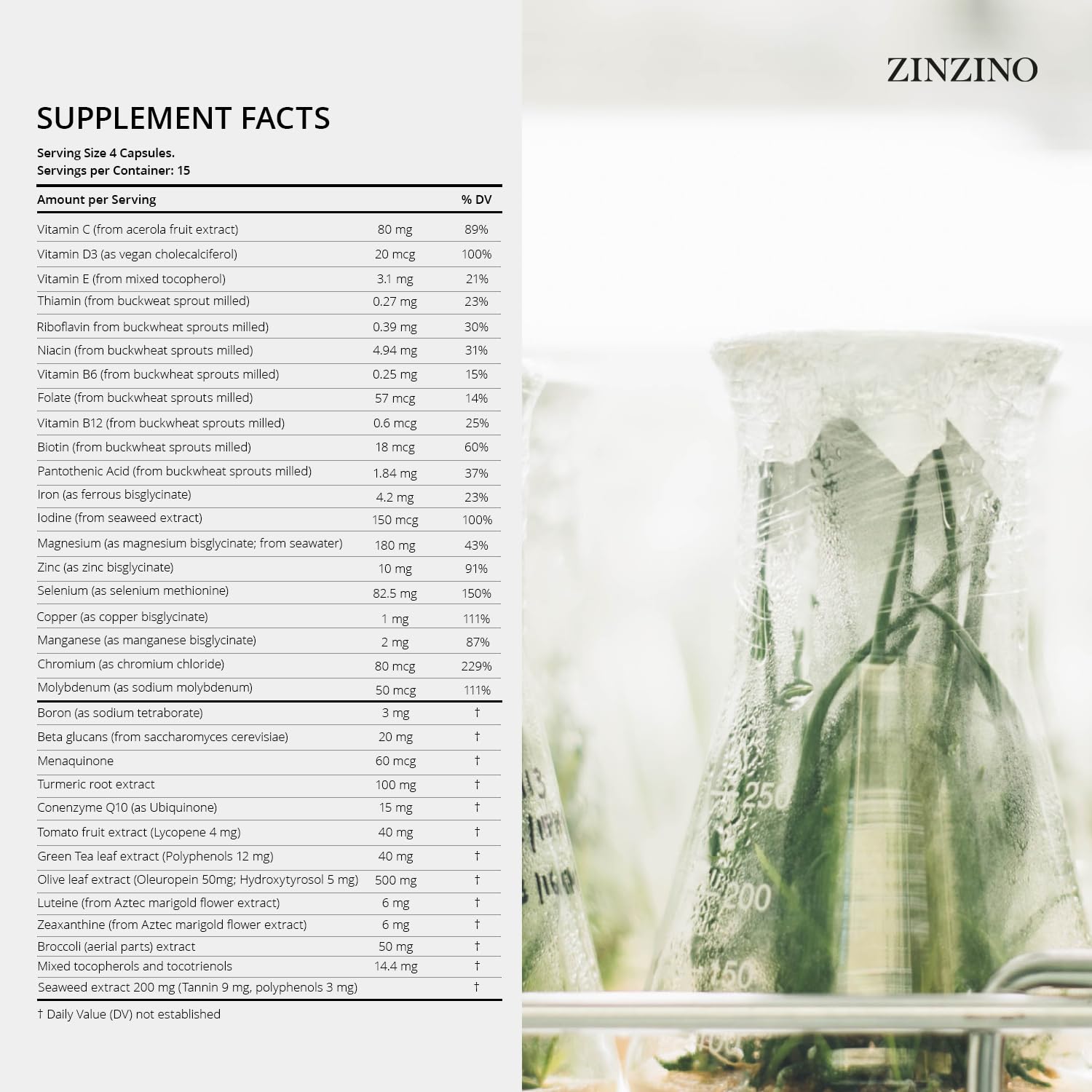 Zinzino Xtend + - Multi Immune Supplement - Essential Vitamins, Minerals & Vitamin C for Immune Support, Energy & Focus - 60 Capsules ZINZINO buy supplements canada