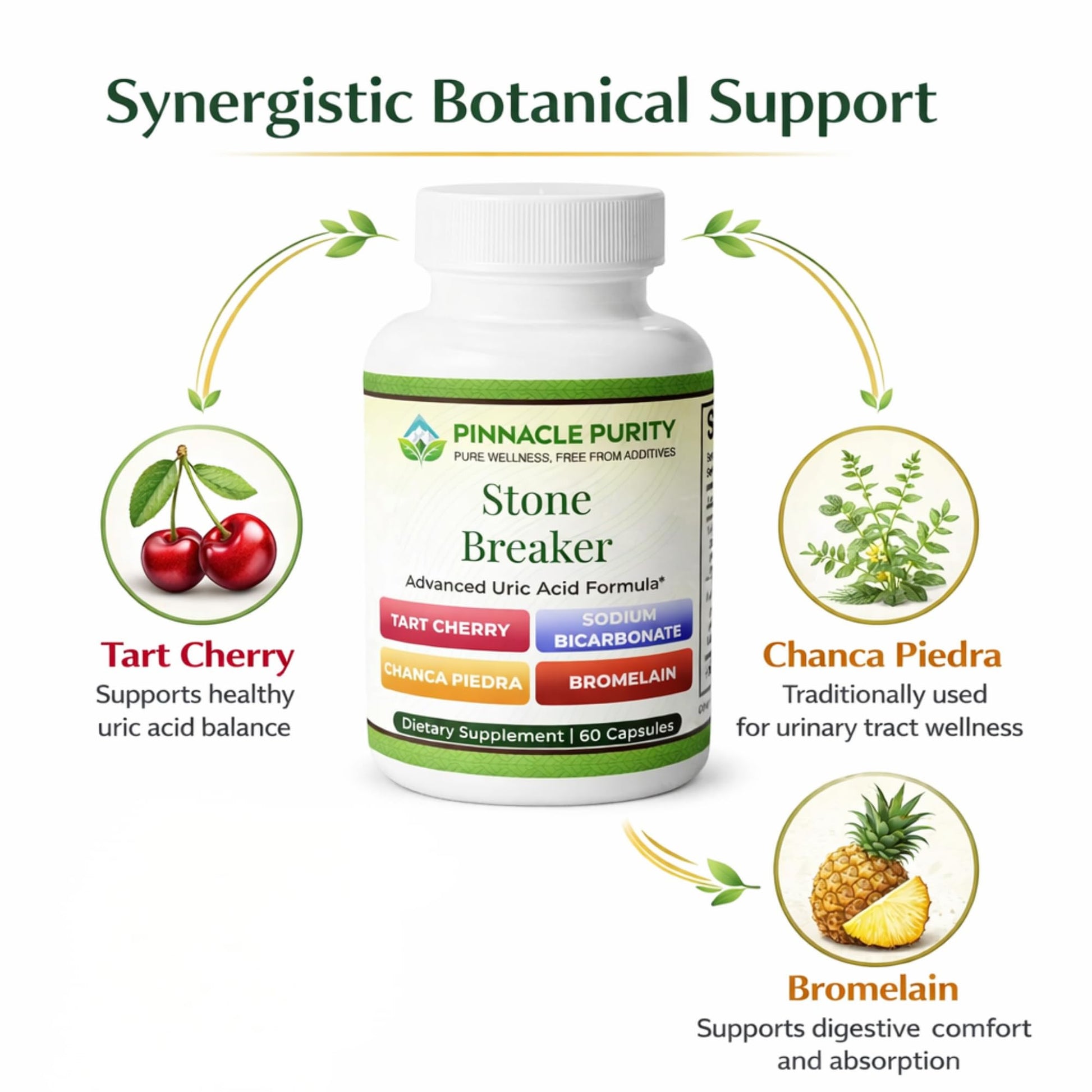 Pinnacle Purity Stone Breaker 60 Capsules, With Chanca Piedra, Tart Cherry & Bromelain – Supports Kidney & Liver Balance, Promotes Gentle Stone Management, Enhances Natural Cleansing Pathways, Non-GMO Pinnacle Purity buy supplements canada