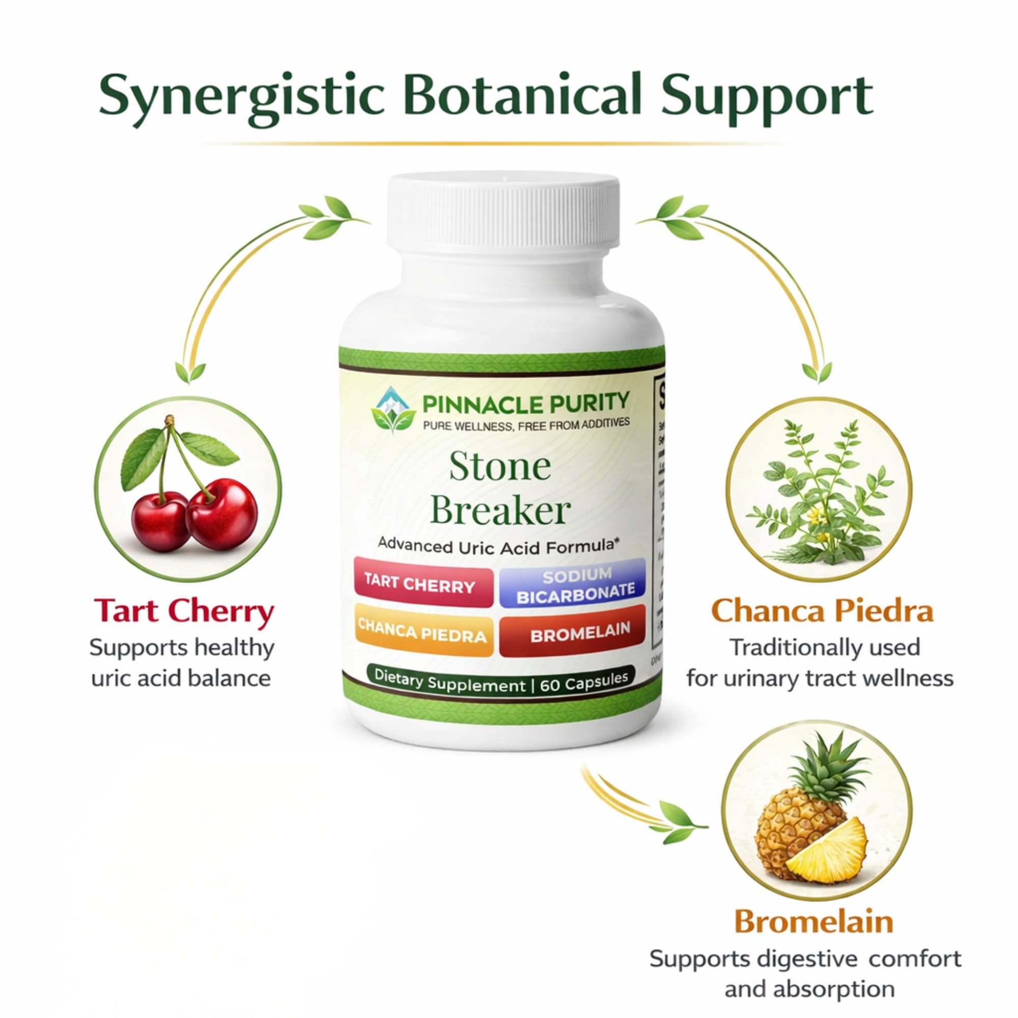 Pinnacle Purity Stone Breaker 60 Capsules, With Chanca Piedra, Tart Cherry & Bromelain – Supports Kidney & Liver Balance, Promotes Gentle Stone Management, Enhances Natural Cleansing Pathways, Non-GMO Pinnacle Purity buy supplements canada