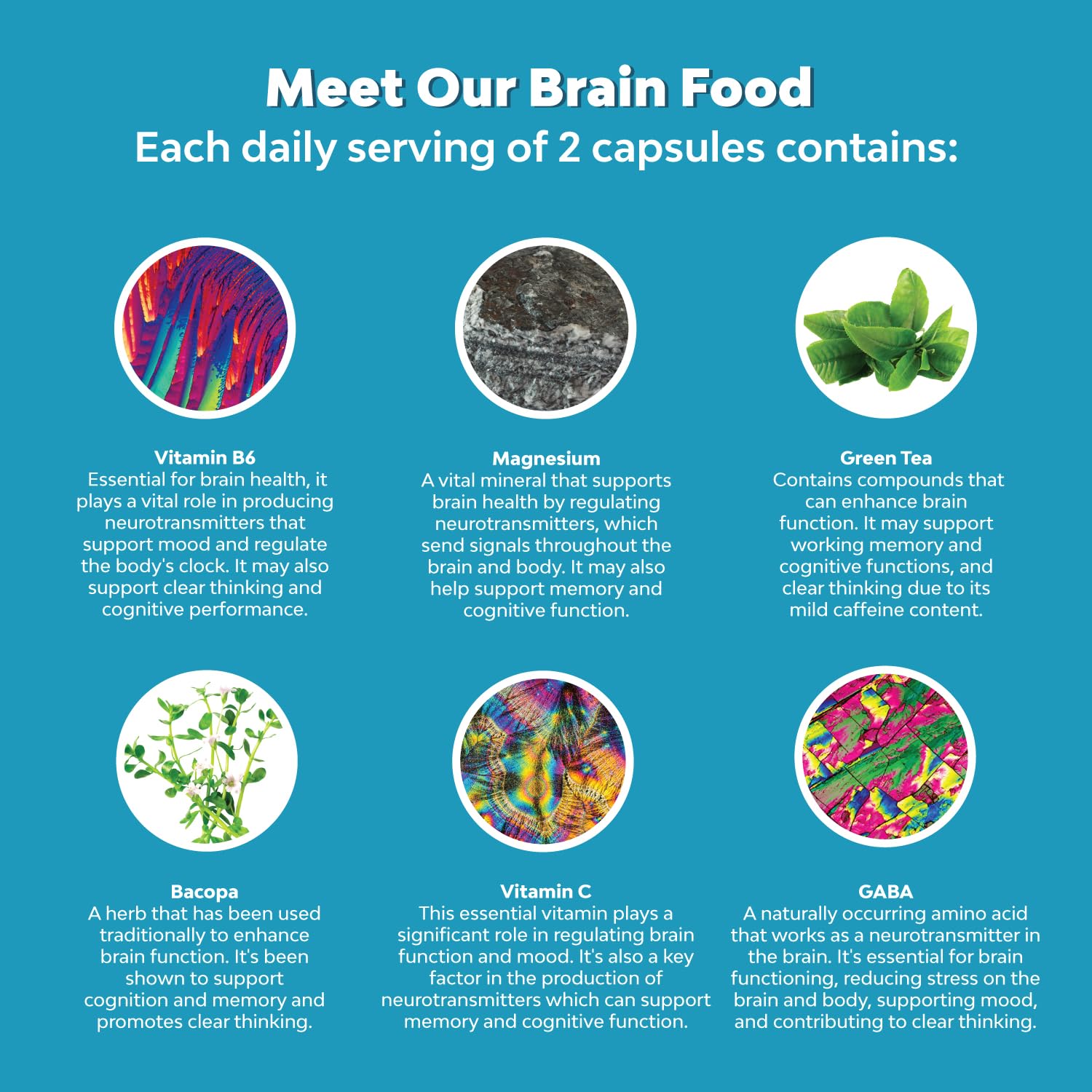 Nootropics Brain Support Supplement - Mental Focus Nootropic Memory Supplement Huntington Labs buy supplements canada