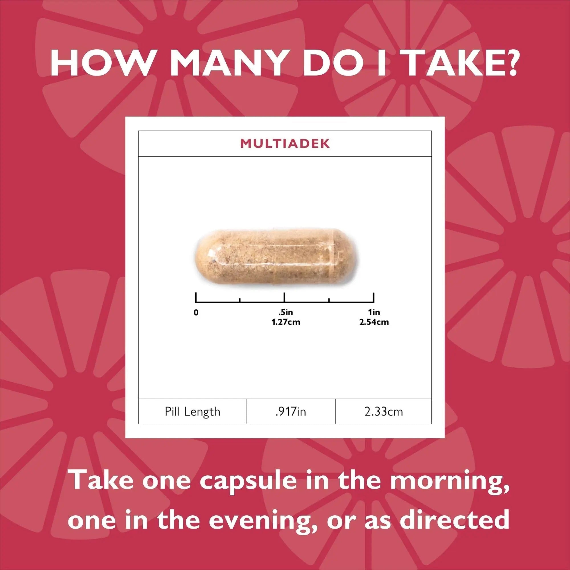 Celebrate Vitamins Multi ADEK, Iron Free – Daily Bariatric Multivitamin, High Level of Vitamins A, D, E, K & B12 Celebrate Bariatric Supplements buy supplements canada