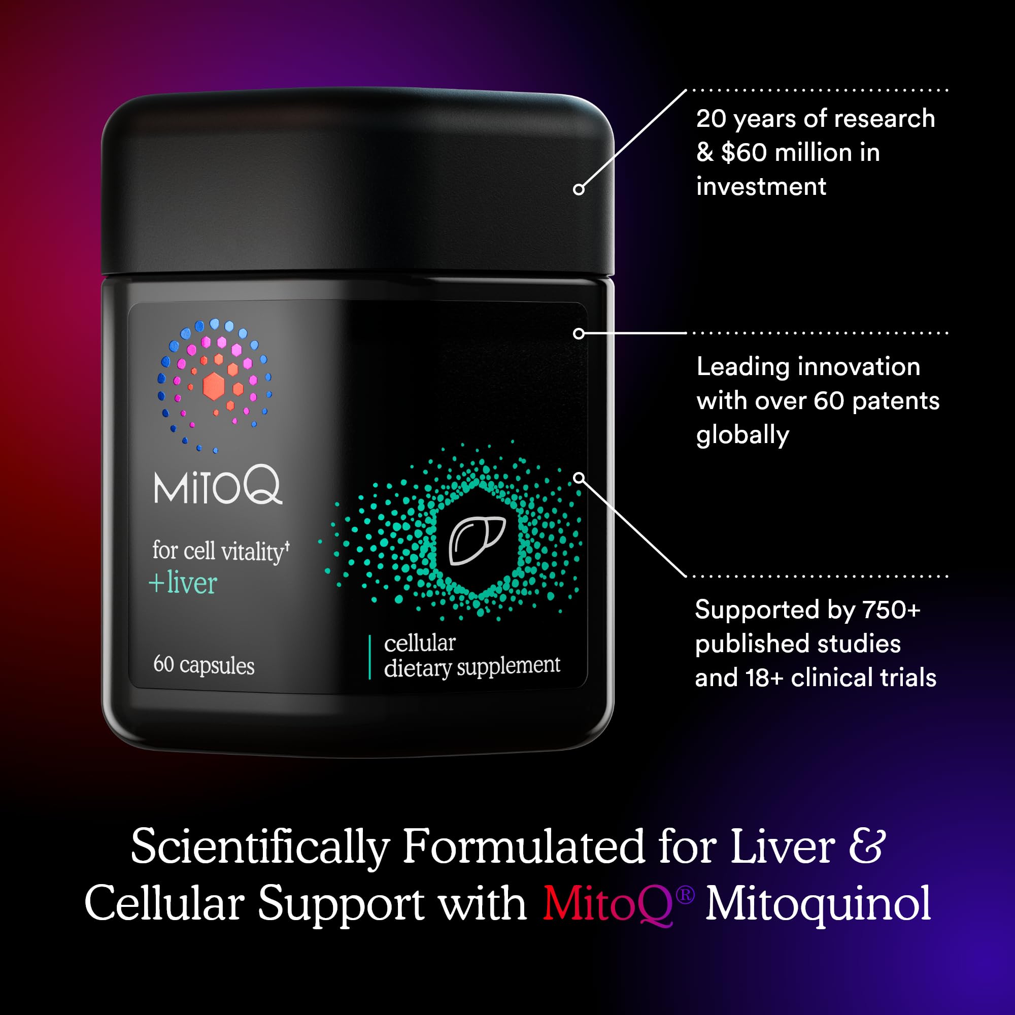 MitoQ +Liver – Advanced Liver Supplement with Highly Bioavailable Milk Thistle, Choline, Selenium Mitoquinol – Supports Metabolism, Body’s Natural Detoxification & Liver Health – 60 Capsules MitoQ buy supplements canada