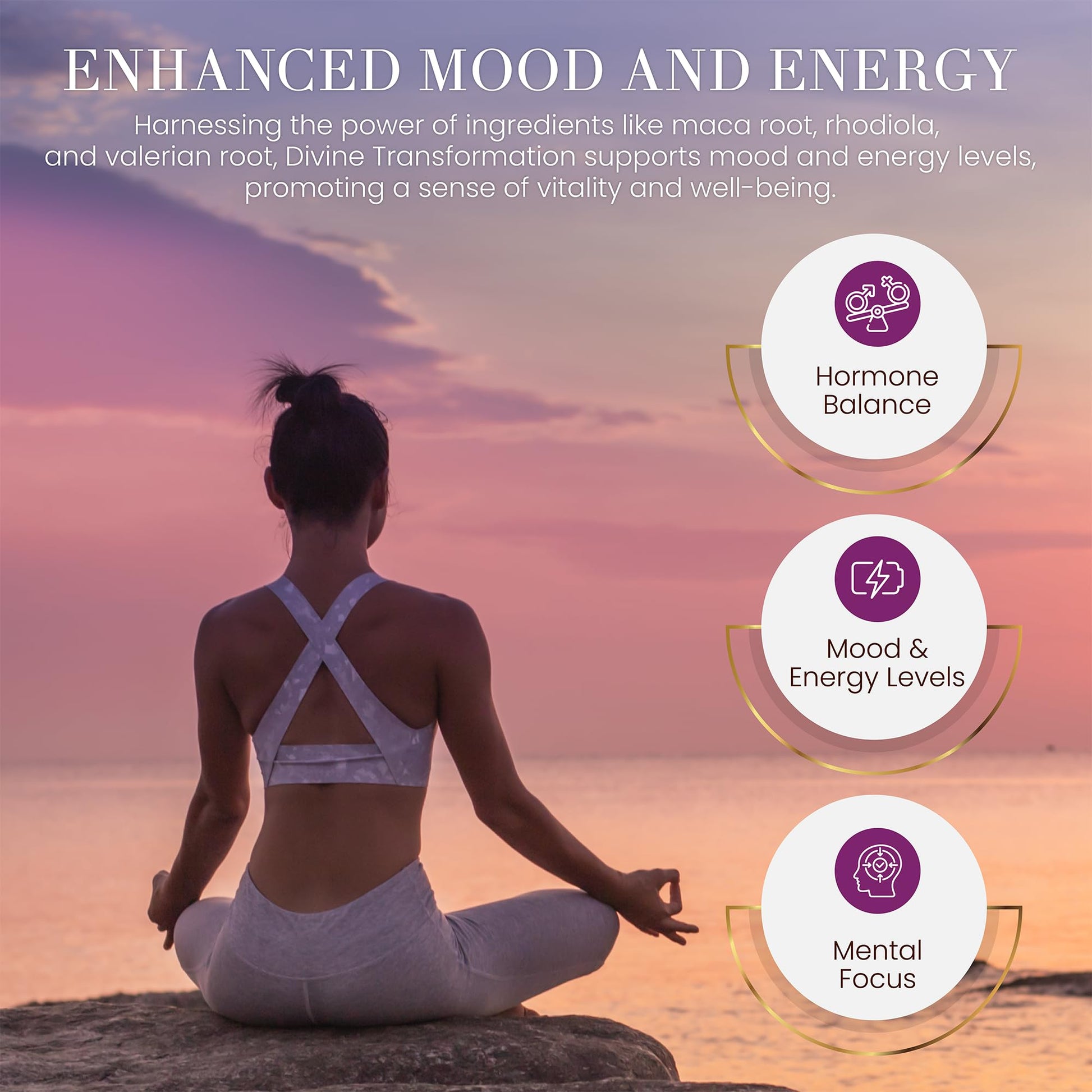 Menopause Supplements for Women - Female Hormone Balance & Immune Support - Mood Swings & Restful Sleep - Valerian Root & Saw Palmetto - Black Cohosh for Menopause Hot Flashes Relief - 60 Capsules Venus Vitality buy supplements canada