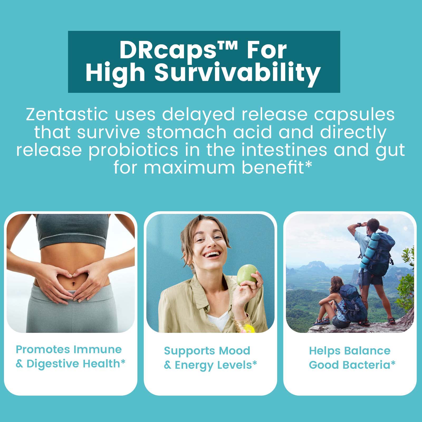 Zentastic Probiotics & Prebiotics Supplement - 50 Billion CFU - for Men & Women’s Immune & Digestive Health - 16 Strains - Shelf Stable - 180 Delayed Release Veggie Capsules Zentastic buy supplements canada