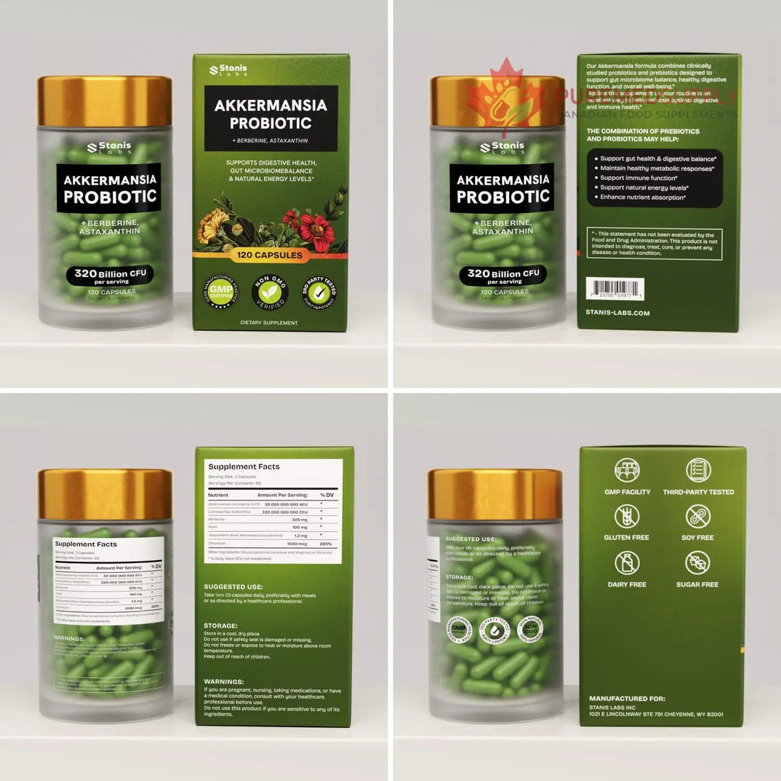 Akkermansia Muciniphila Probiotics 320 Billion CFU| Probiotic and Prebiotic | Akkermansia Probiotics for gut health | Inulin Prebiotic Fiber Capsules Astaxanthin & Berberine & Chromium | 120 capsules Stanis Labs buy supplements canada