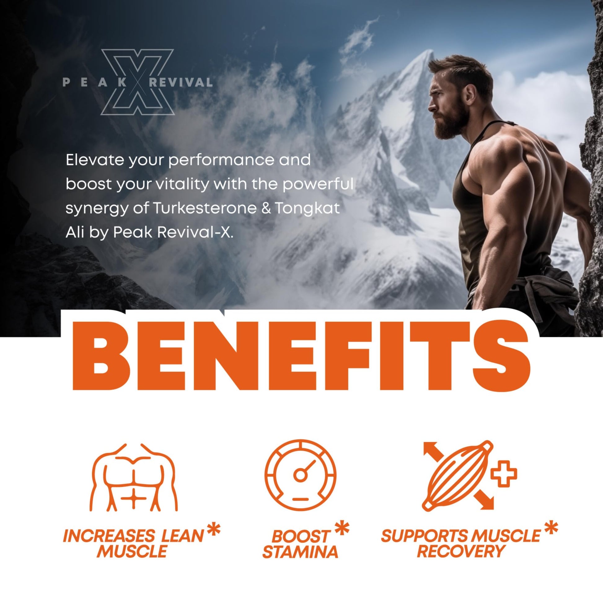 Peak Revival-X Turkesterone & Tongkat Ali 1000mg Supplement - 500mg Peak Revival-X buy supplements canada