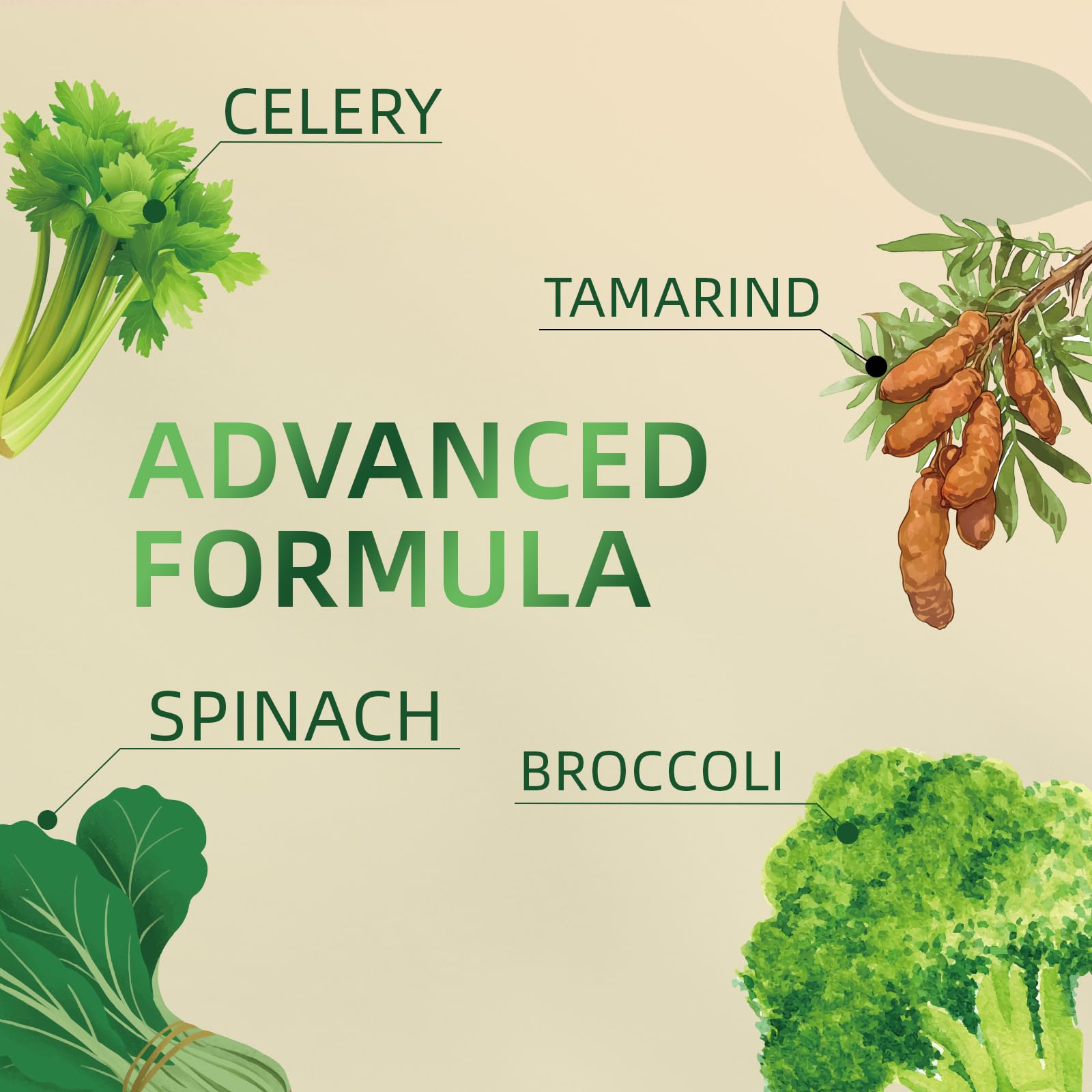 Greenshoots Super Food Gummies with Super Greens Blend, Vitamin A & C – Broccoli, Spinach, Moringa & Chlorella – Vegan, Sugar Free, Daily Nutrition Support, 60 Gummies Greenshoots buy supplements canada