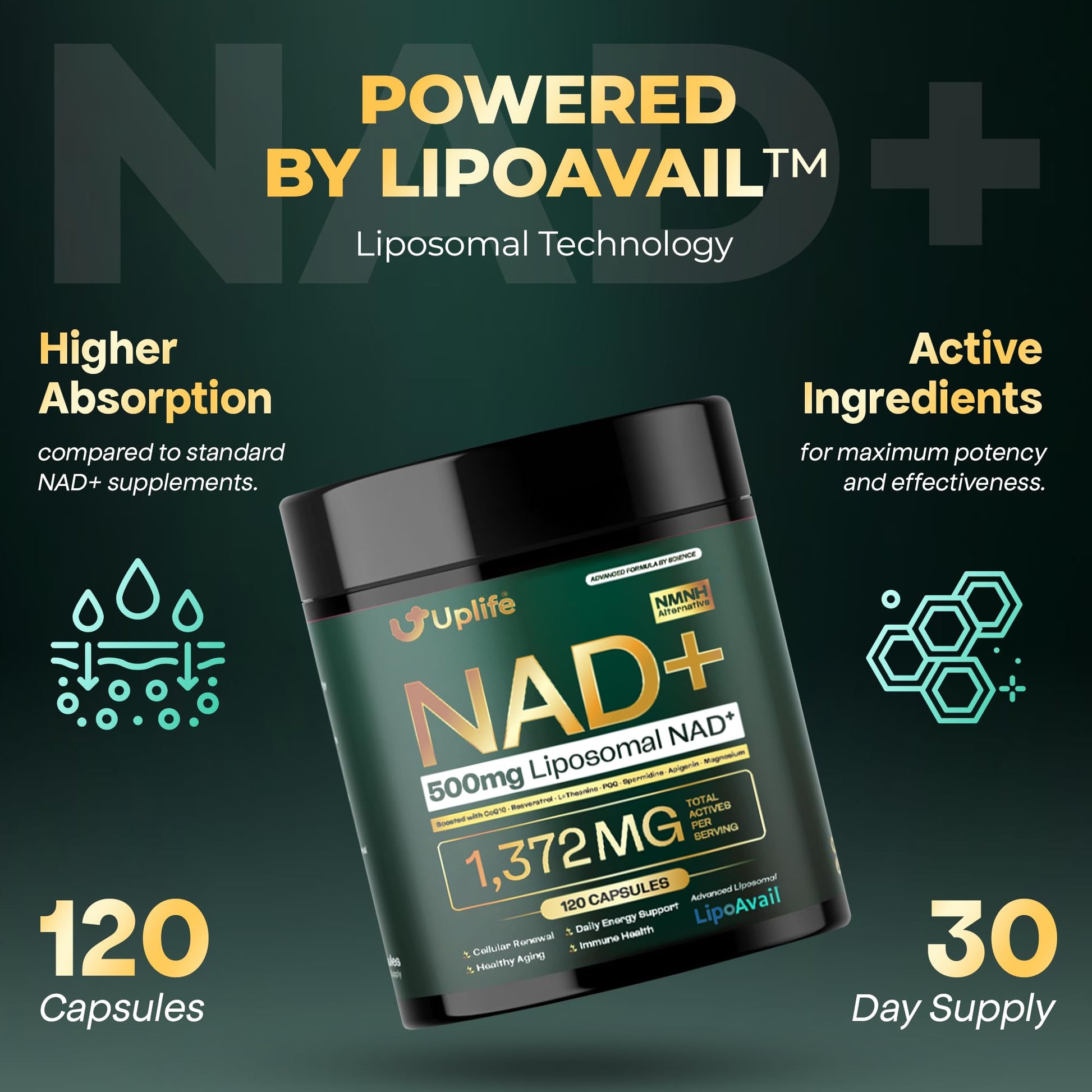 UPLIFE NAD+ Supplement 1,372mg – Liposomal NAD+ with CoQ10, Resveratrol, Spermidine, L-Theanine, Apigenin & PQQ – NMNH Alternative Booster Cellular Energy, Healthy Aging, Immune Health – 120 Capsules UPLIFE buy supplements canada