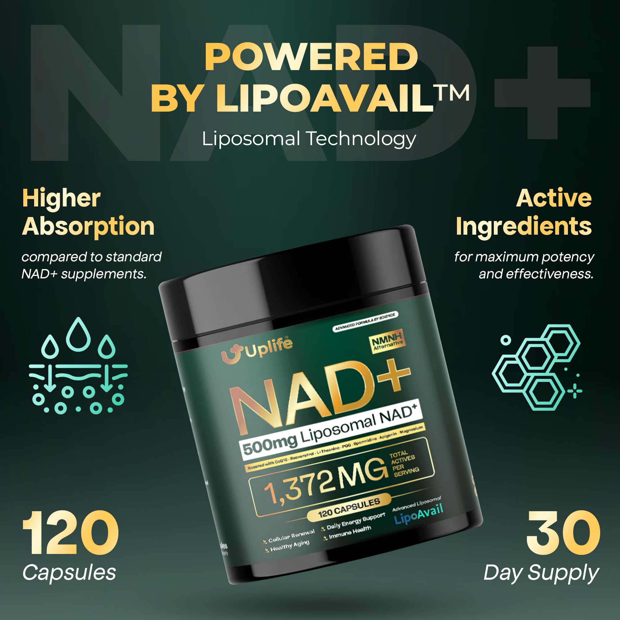 UPLIFE NAD+ Supplement 1,372mg – Liposomal NAD+ with CoQ10, Resveratrol, Spermidine, L-Theanine, Apigenin & PQQ – NMNH Alternative Booster Cellular Energy, Healthy Aging, Immune Health – 120 Capsules UPLIFE buy supplements canada