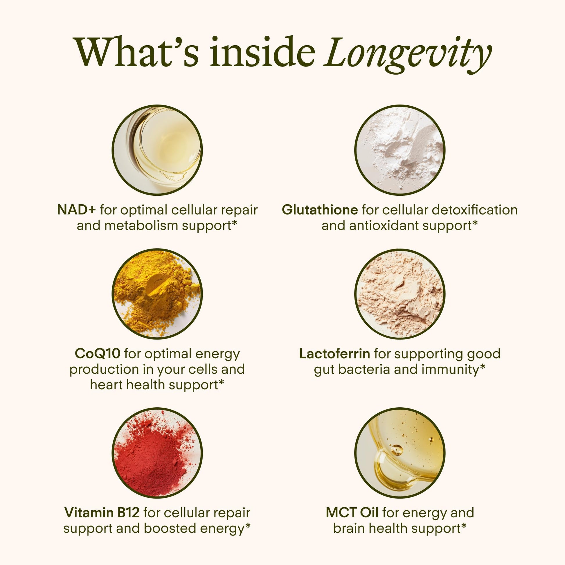 Sunny Within Longevity – Liposomal NAD+ Glutathione Supplement w/Liquid NAD+, CoQ10, B12, MCT & Avocado Oil – Cellular Health, Energy, Brain, Gut & Heart Support* – Watermelon Lime – 30 Pouches Sunny Within buy supplements canada