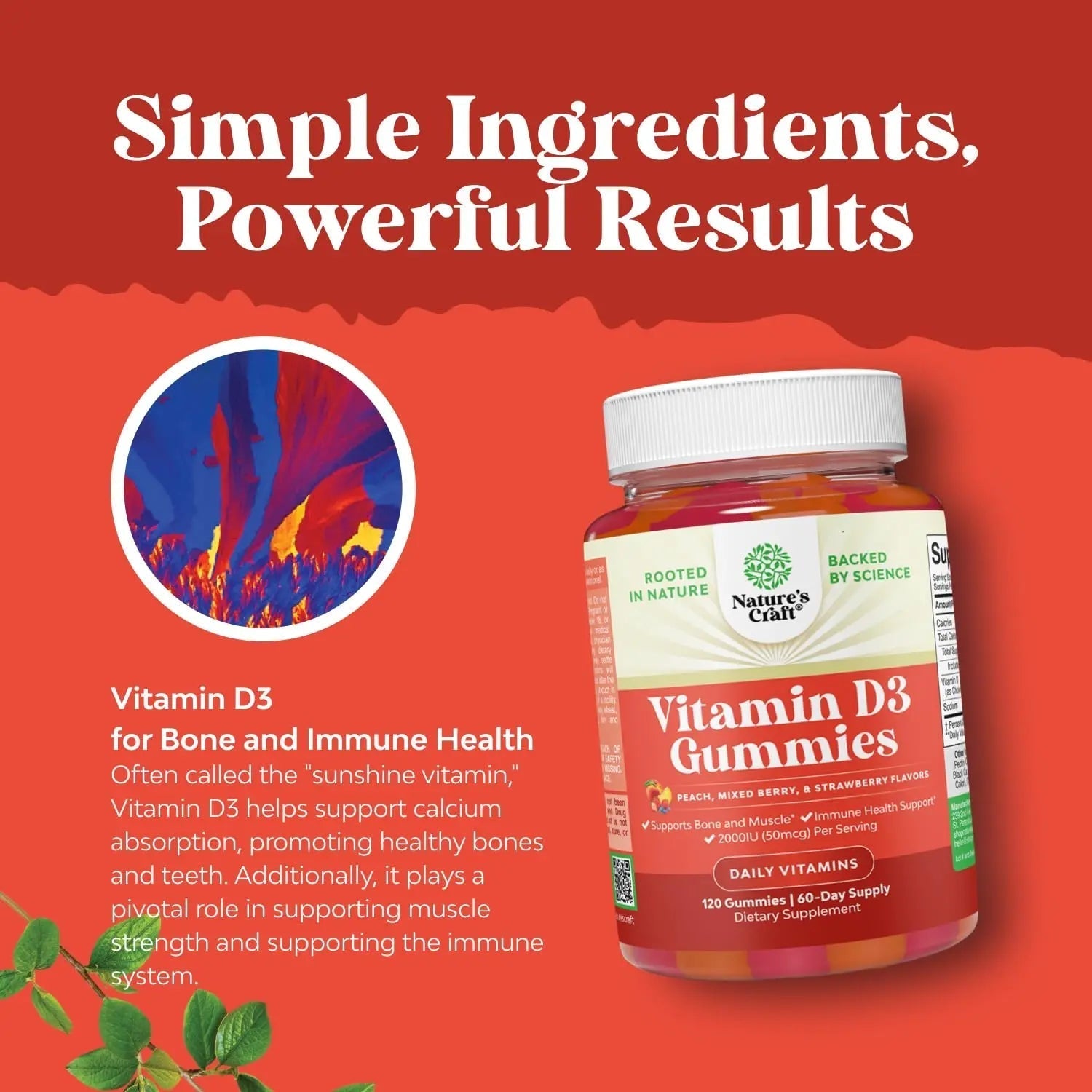 Bundle of Potent Daily Multivitamin Gummies - Wellness Blend of Vitamin D A C E B12 Zinc & Biotin for Energy & Immunity and Vitamin D3 Gummies Natures Craft buy supplements canada