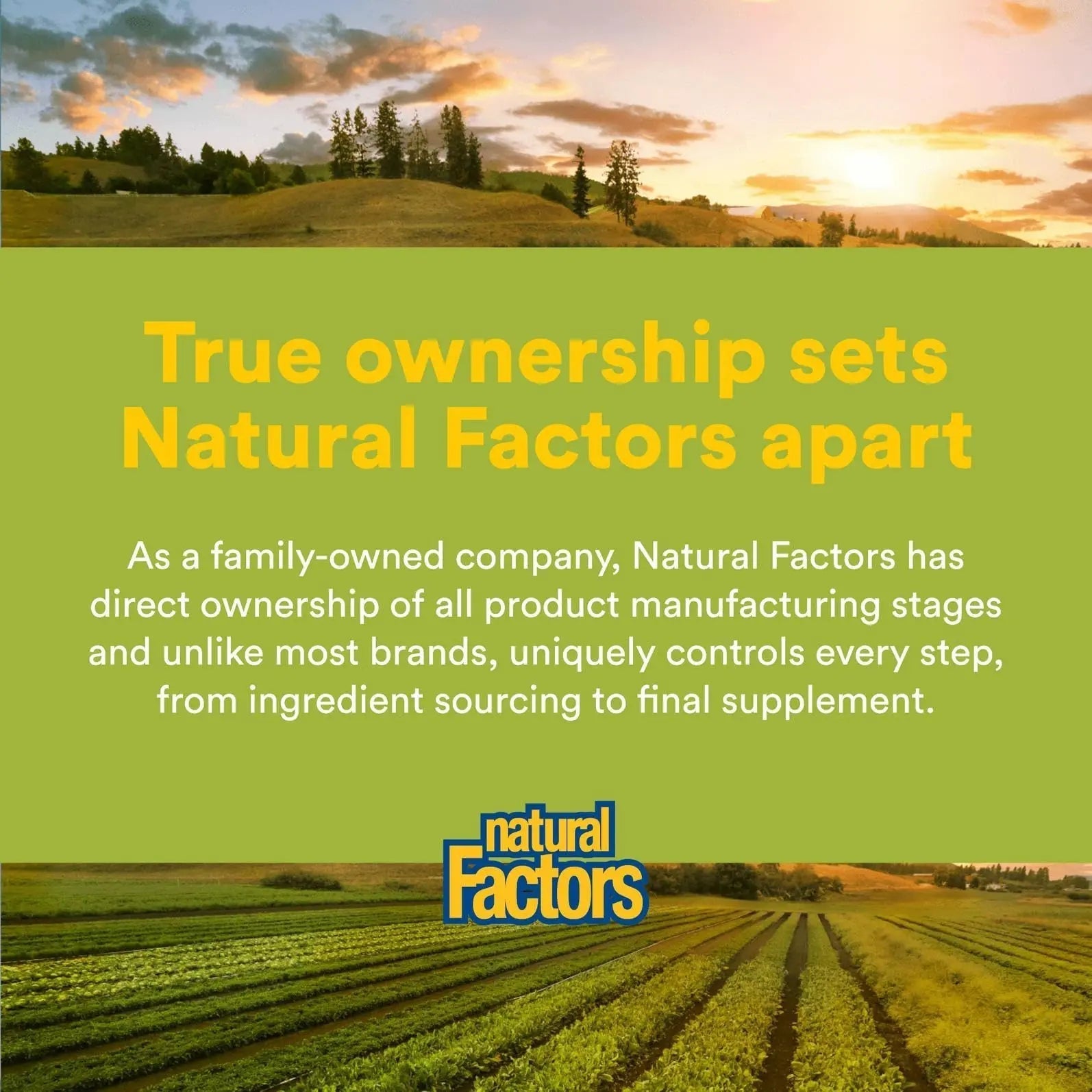 Natural Factors Whole Earth & Sea Men's Multivitamin s& Mineral, 1 Serving Contains Nutrition Equivalent to ½ lb of Veggies, 120 Tablets Natural Factors buy supplements canada