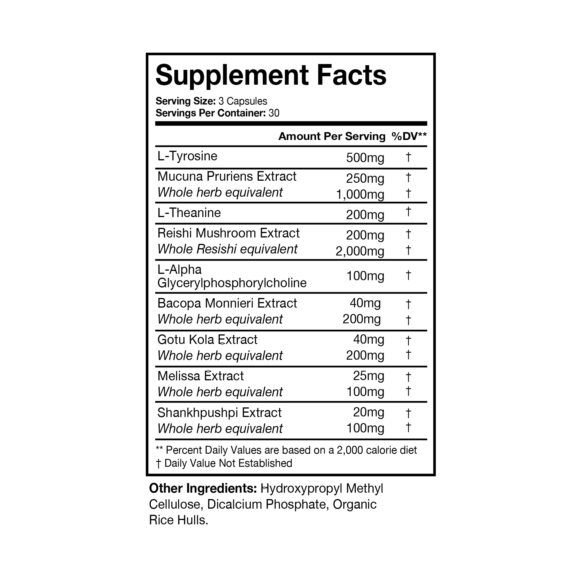 Terra Health Essentials NOOFOCUS - Nootropics Brain Support Supplement with Adaptogenic Mushrooms, Alpha-GPC, Gotu Kola, L-Theanine for Focus & Memory - All Natural, 30 Day Supply Terra Health Essentials buy supplements canada