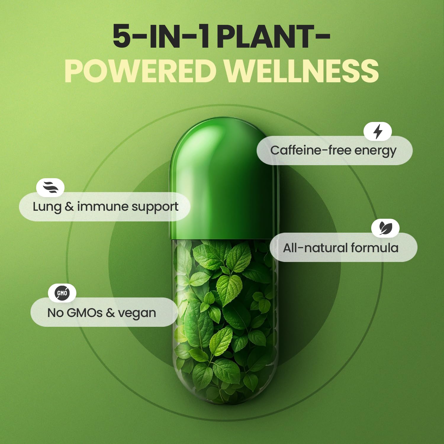 Moringa Capsules, Beet Root, Mullein Leaf - Energy, Skin, Immune Supplement Superfood, Rich in Antioxidants, Minerals & Essential Vitamins - High Absorption Non-GMO - Made in USA - 60ct Vitamax buy supplements canada