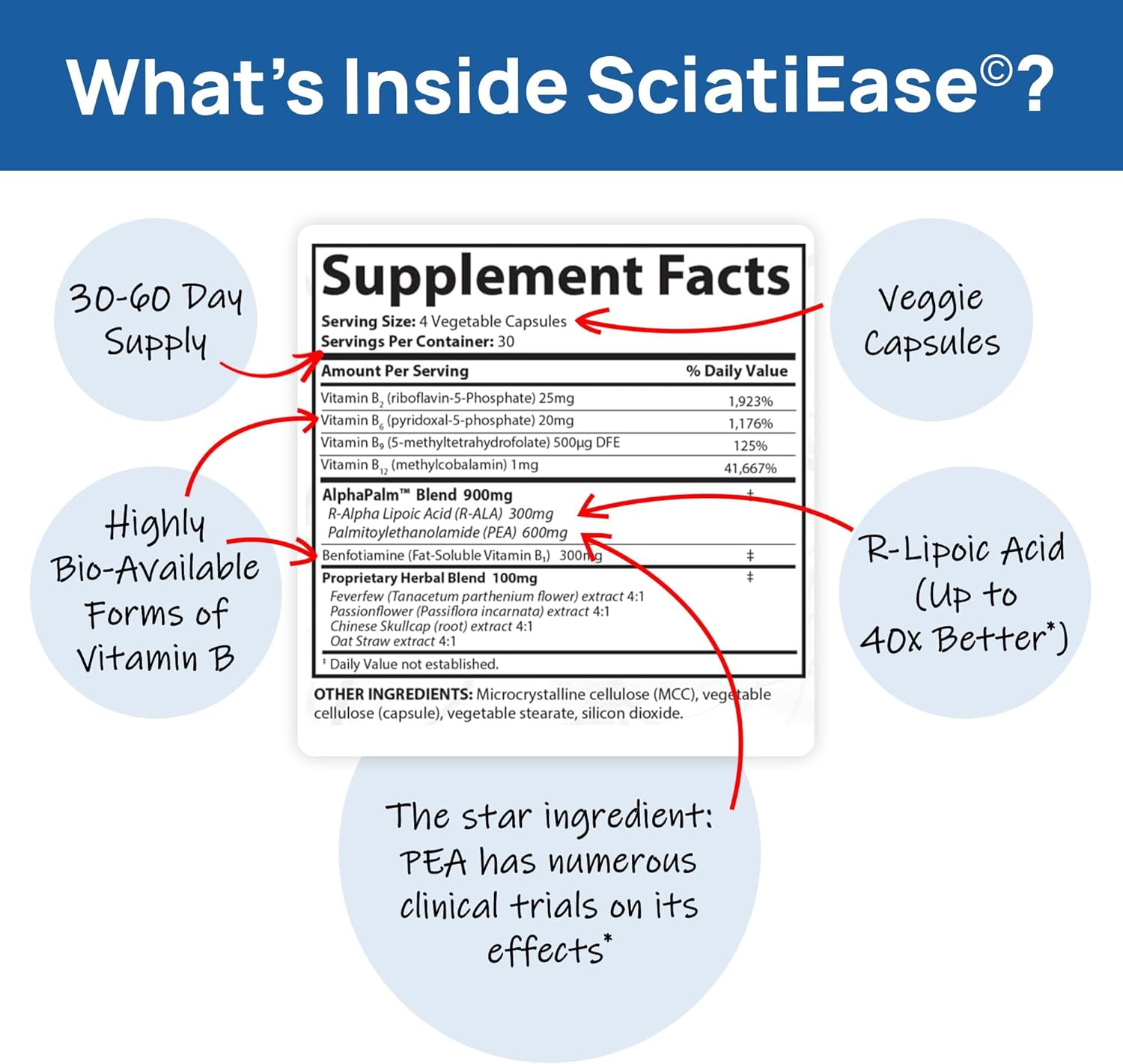 SciatiEase Sciatic Nerve Health Support Sciatic Nerve Supplement SciatiEase buy supplements canada
