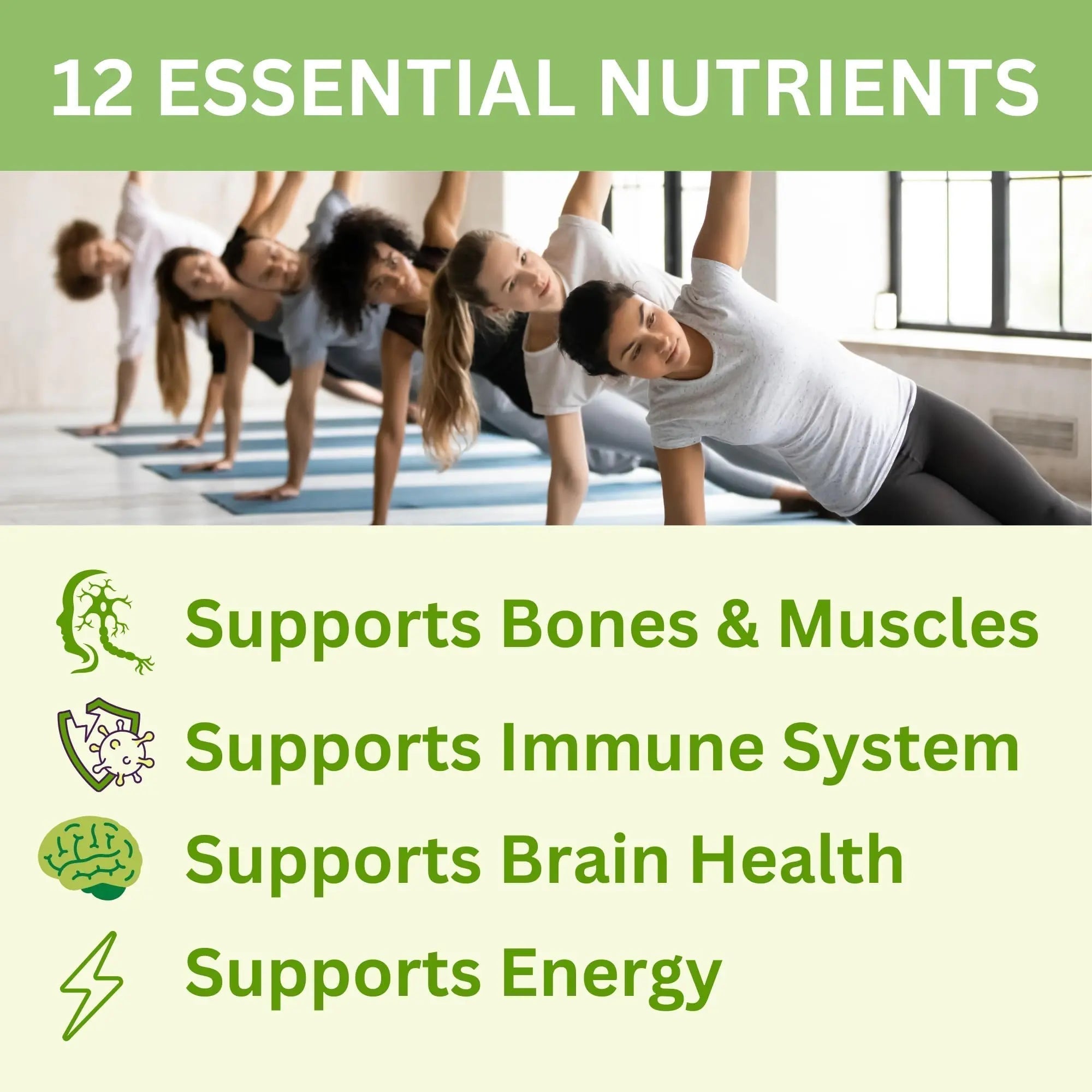 Greenfield Nutritions Halal Multivitamins for Adults | 90 Halal Vitamins for Women & Men | All Essential Gelatin Free Halal Gummy Vitamin, Mineral GREEN FIELD NUTRITIONS buy supplements canada