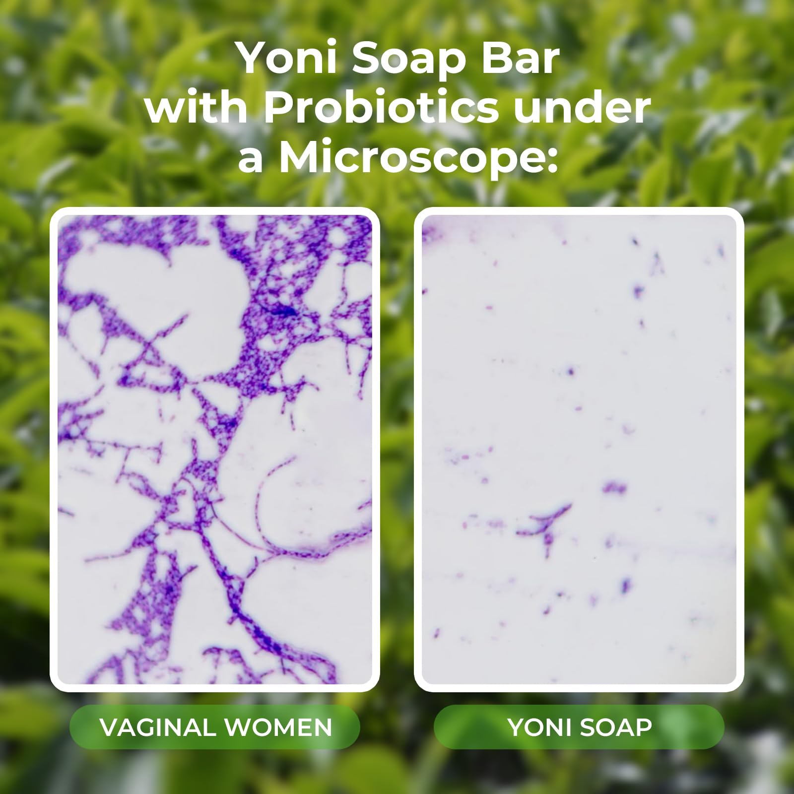 Feminine Wash & Yoni Oil & Yoni Soap Tea Tree Set for Women, Yoni Wash for Vaginal Ph Balance Remove BASSI buy supplements canada