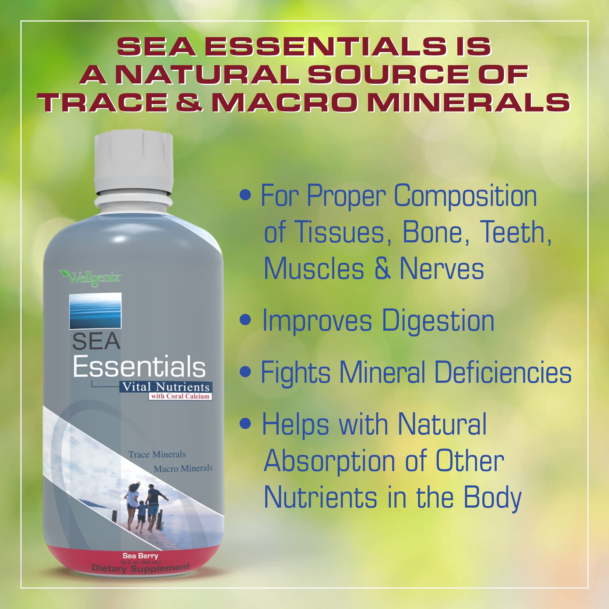 Wellgenix Sea Essentials Liquid Mineral Dietary Supplement with Trace and Macro Minerals and Coral Calcium – Sea Berry Flavor – 32 fl oz Wellgenix buy supplements canada