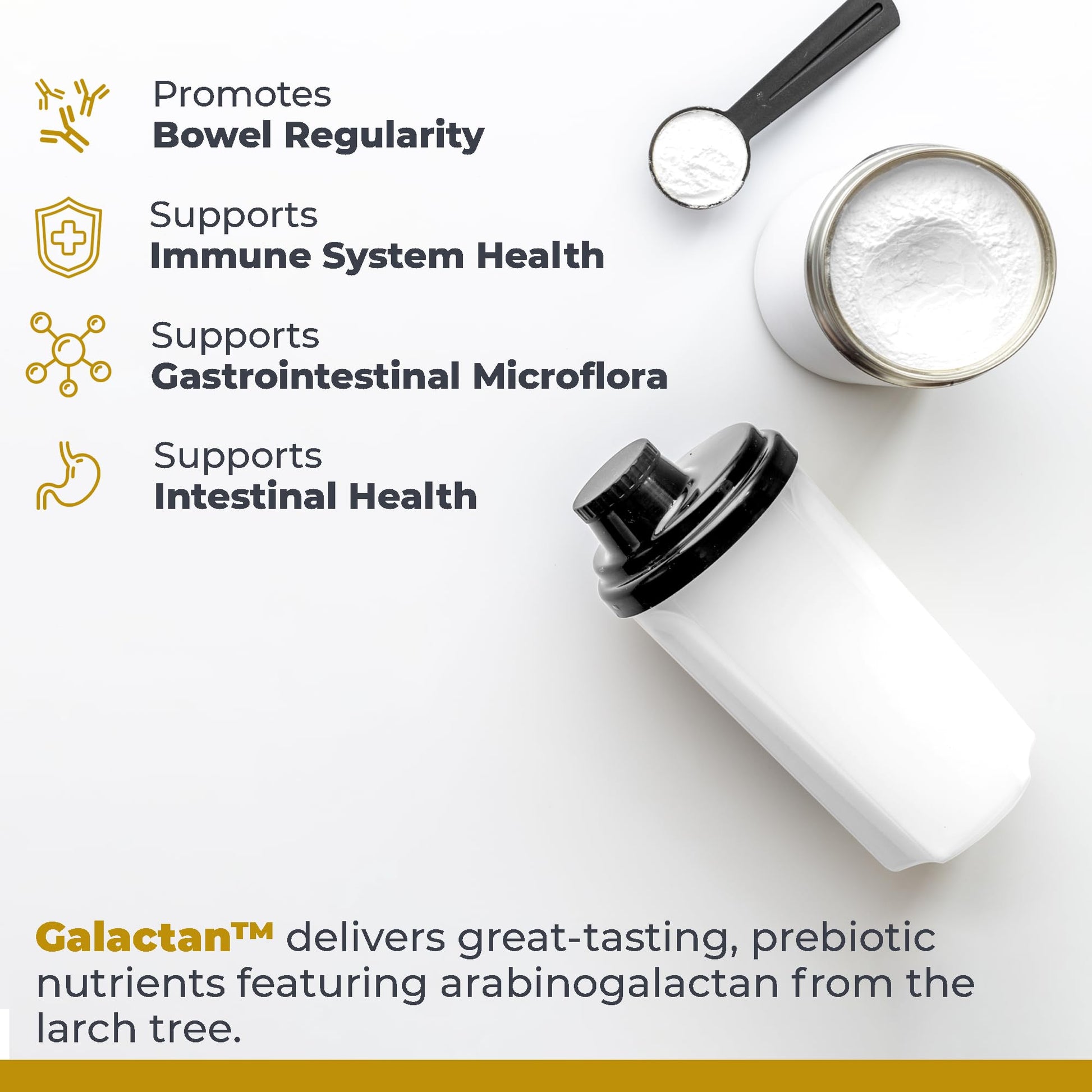 Premier Research Labs Galactan - Larch Arabinogalactan Powder for Men & Women, Prebiotic Fiber Powder for Healthy Gut Microbiome, Larch Tree Extract, Calcium - 8 oz Premier Research Labs buy supplements canada