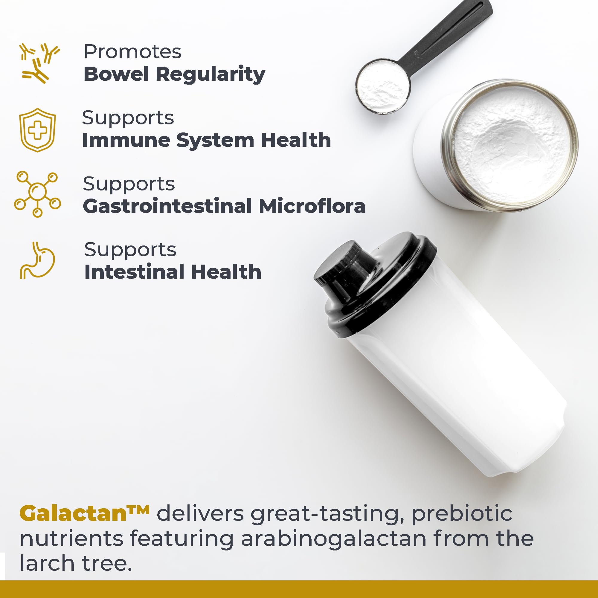 Premier Research Labs Galactan - Larch Arabinogalactan Powder for Men & Women, Prebiotic Fiber Powder for Healthy Gut Microbiome, Larch Tree Extract, Calcium - 8 oz Premier Research Labs buy supplements canada