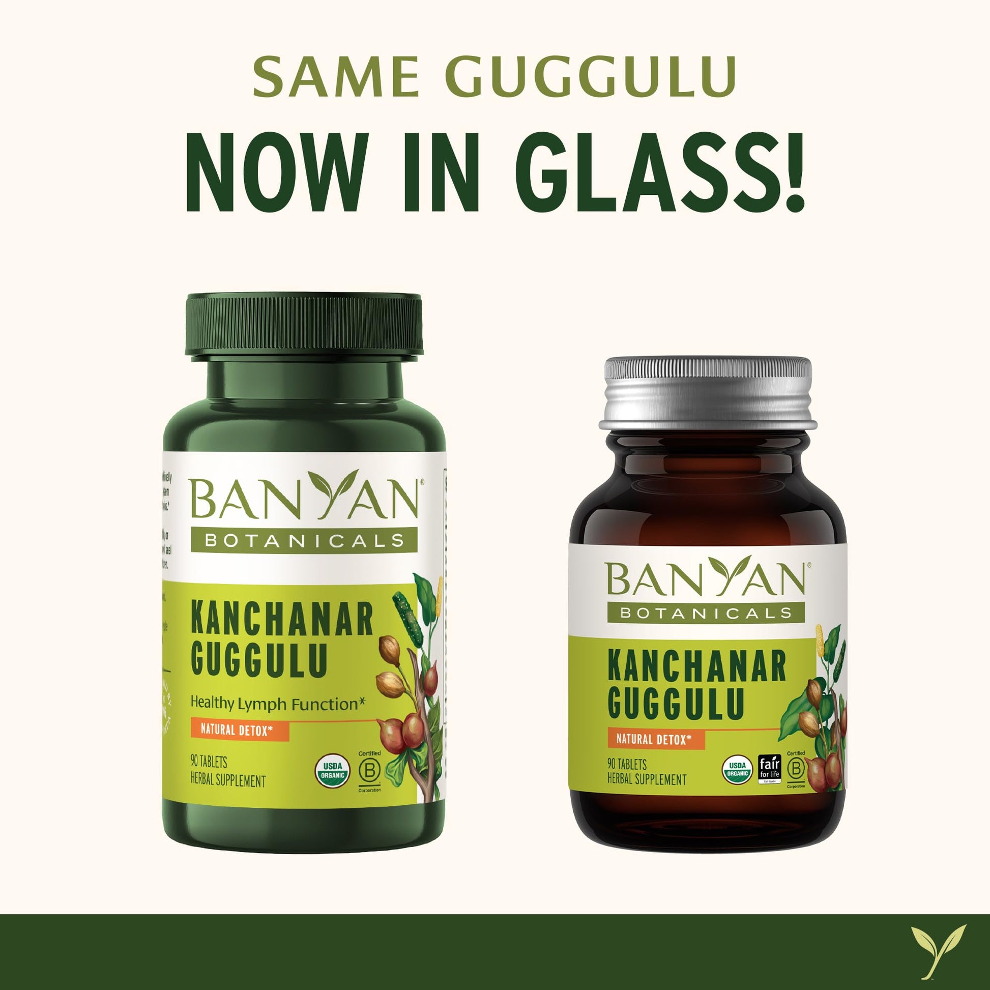Banyan Botanicals Kanchanar Guggulu Tablets – Organic Lymph Supplement with Guggulu Resin – Promotes the Healthy Elimination of Natural Toxins* – 90 Tablets – Non-GMO Sustainably Sourced Vegan Banyan Botanicals buy supplements canada
