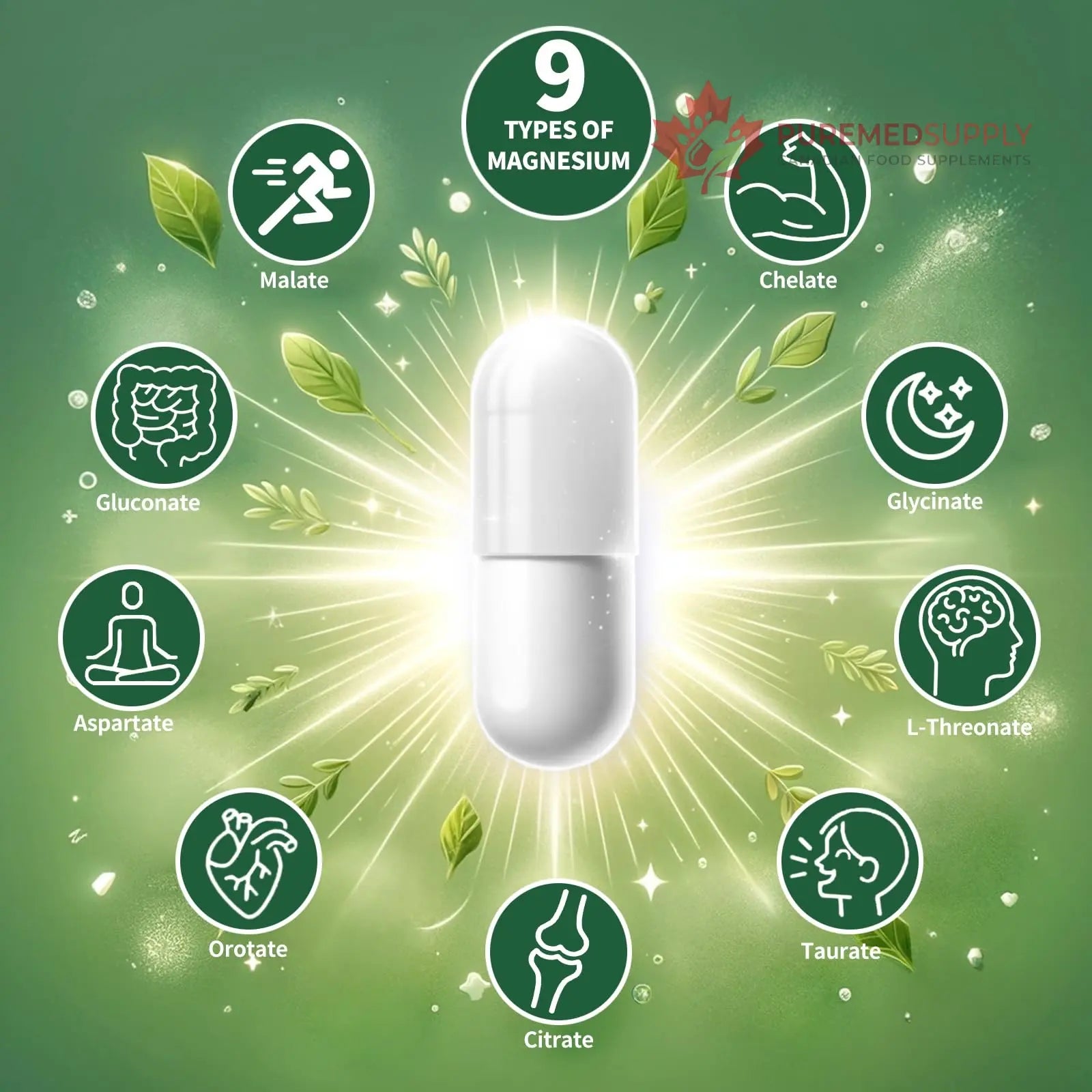 Magnesium Supplement with 9 Forms of High Absorption Magnesium Glycinate, L-threonate, Citrate, Malate and More for Muscle, Brain Support, Non-GMO, Gluten & Soy Free, 60 Capsules Simlike buy supplements canada